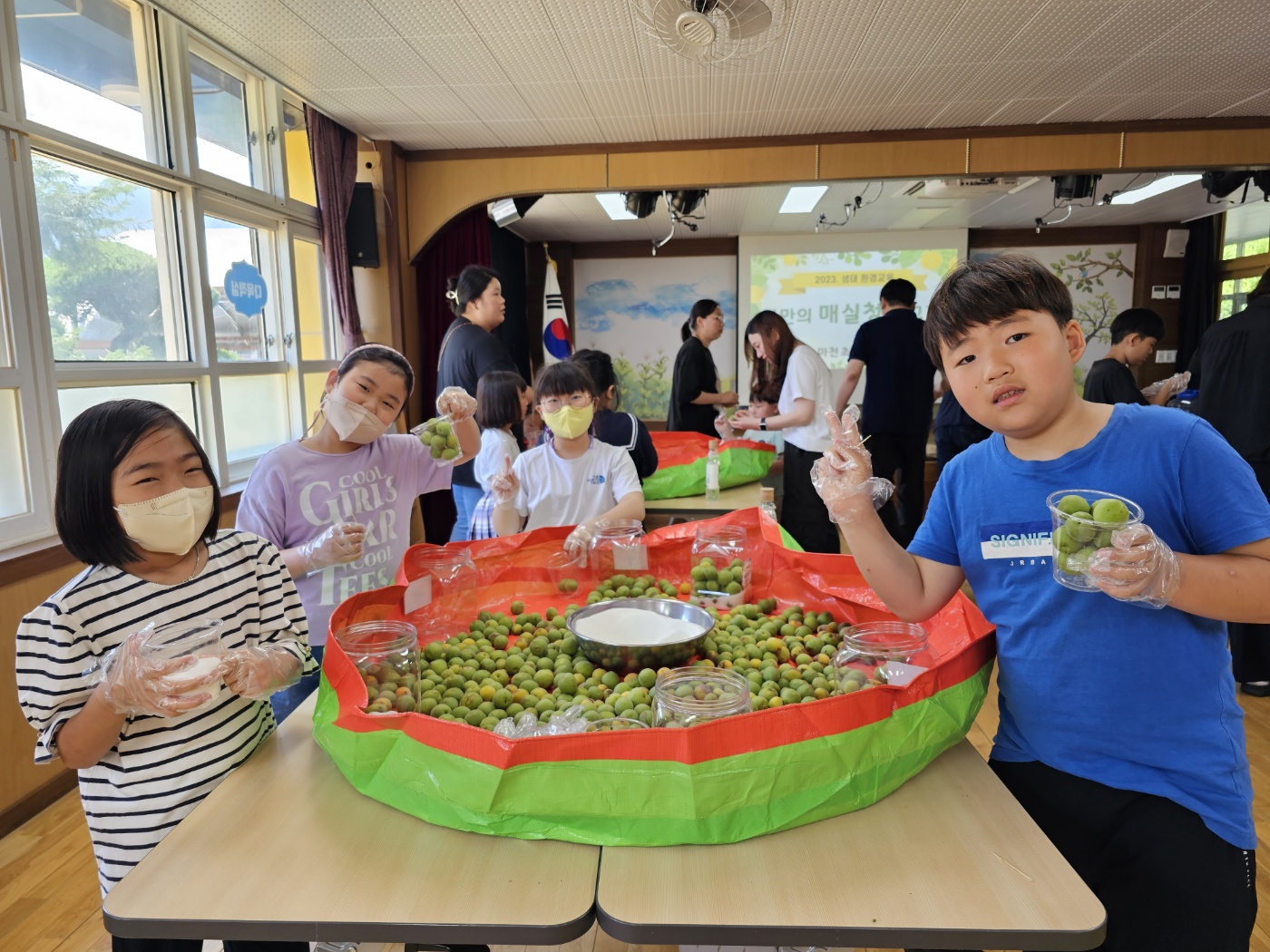마천초, 친환경 매실청 담그기 체험학습 실시 - 관련이미지2