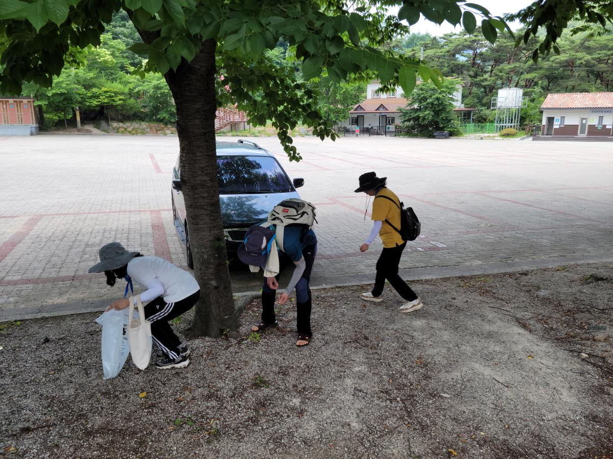 함양교육지원청, 환경과 건강을 지키는 청렴 플로깅 실시 - 관련이미지2
