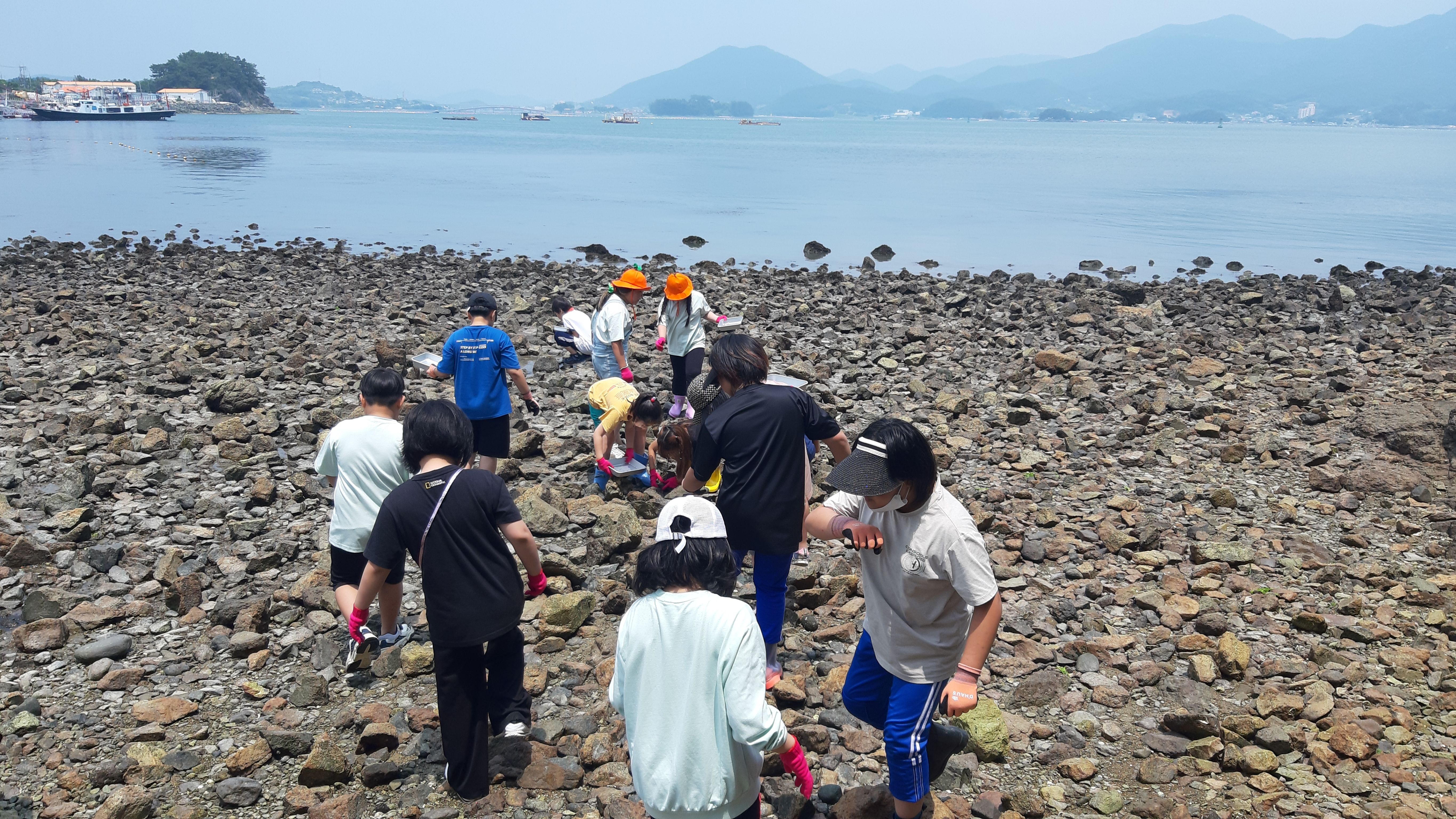 충렬초, 바다도 보호가 필요해요! - 관련이미지3