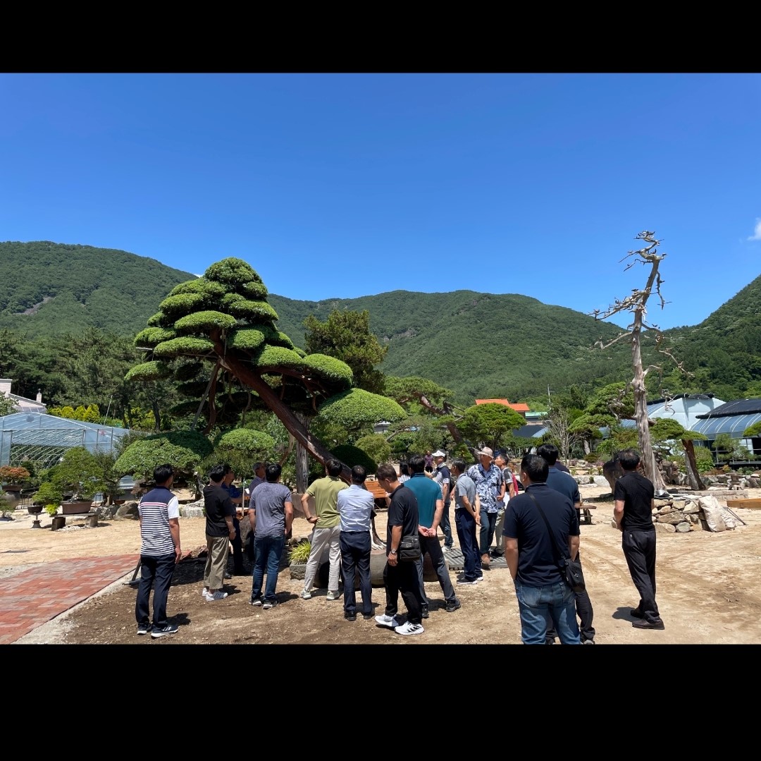 사천교육지원청, 2023년 지역맞춤형 학교 수목관리 현장연수 - 관련이미지3