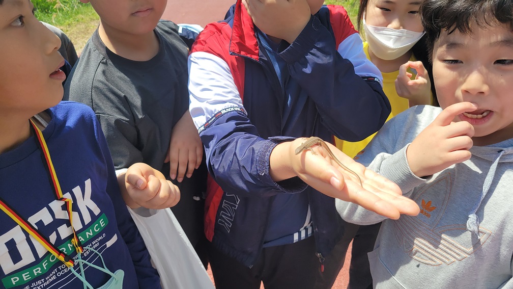 예하초, 화개천생태지킴이 활동 실시 - 관련이미지2