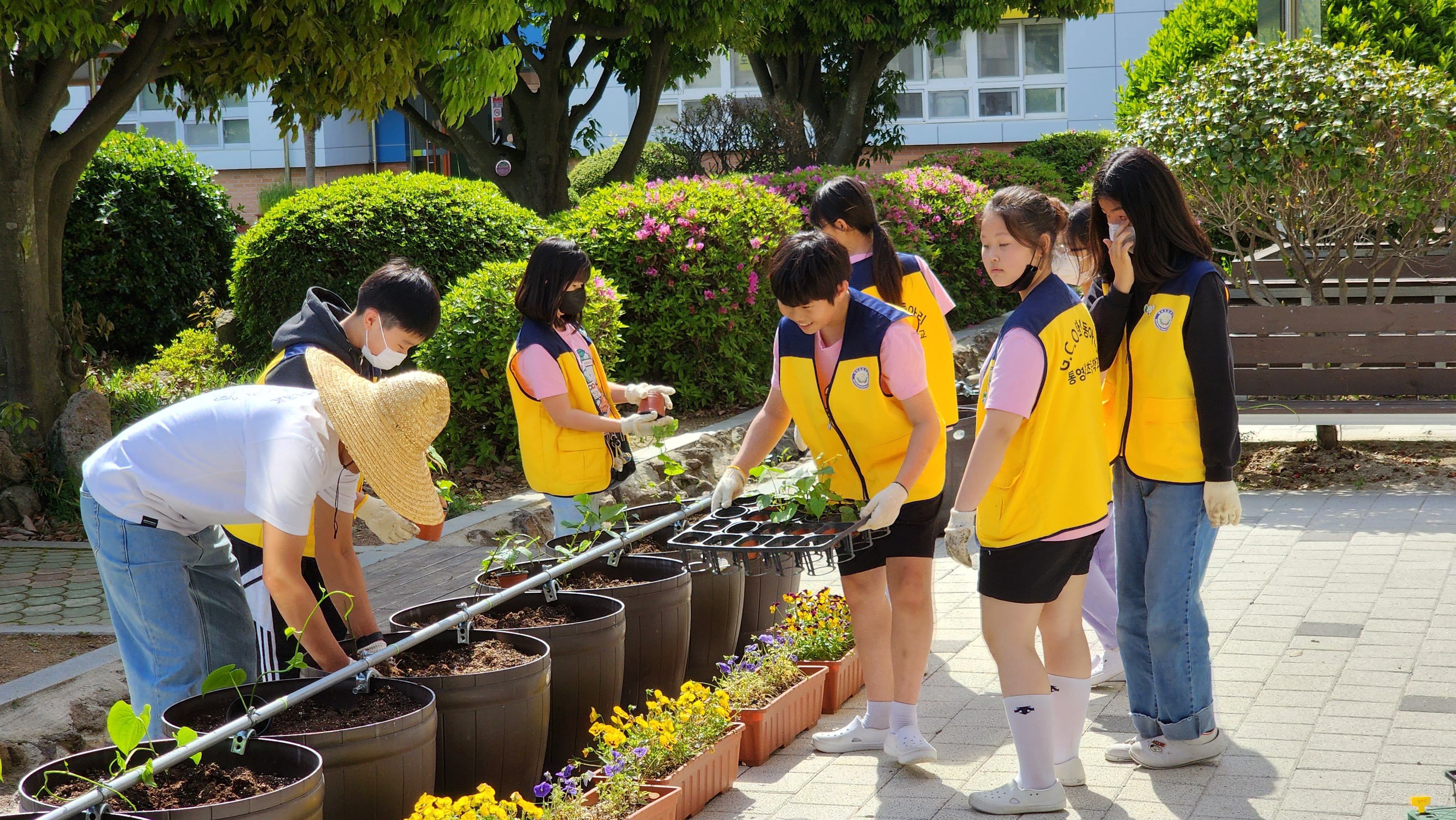 통영 벽방초등학교, 환경부 지정 환경교육 우수학교 선정 - 관련이미지3