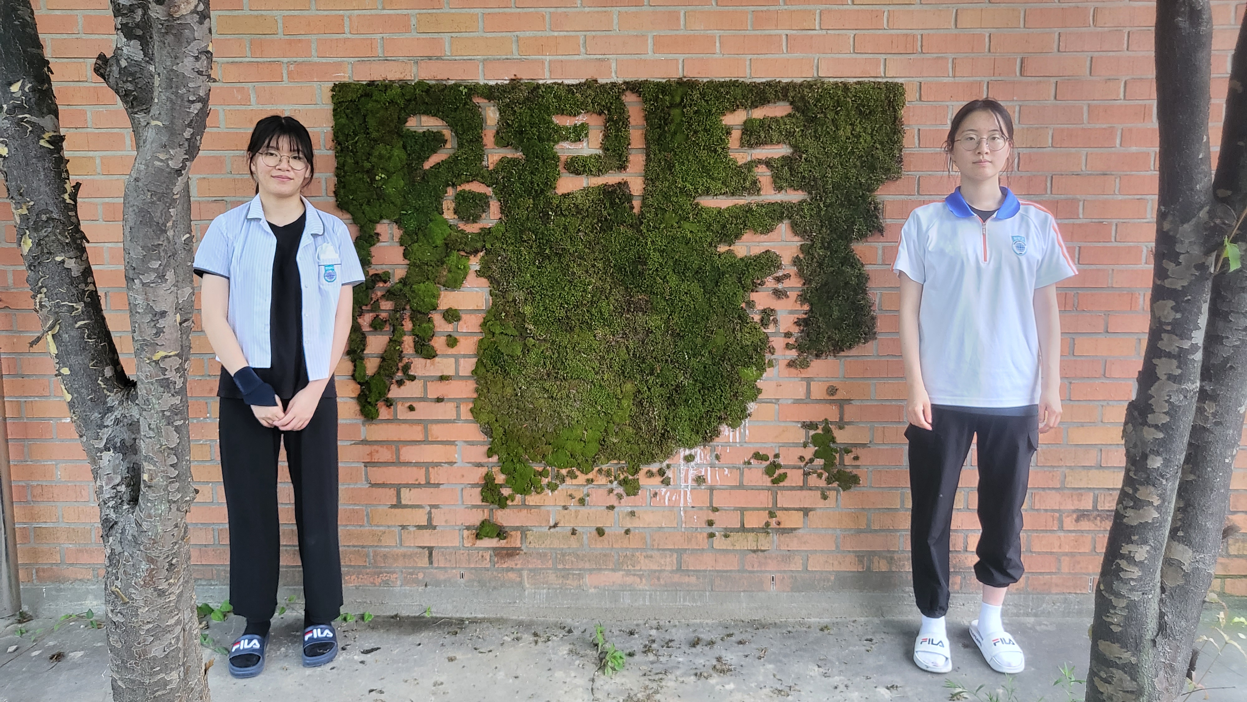 양산남부고, 이끼로 제작한 친환경 벽화를 제작한 학생들 - 관련이미지1