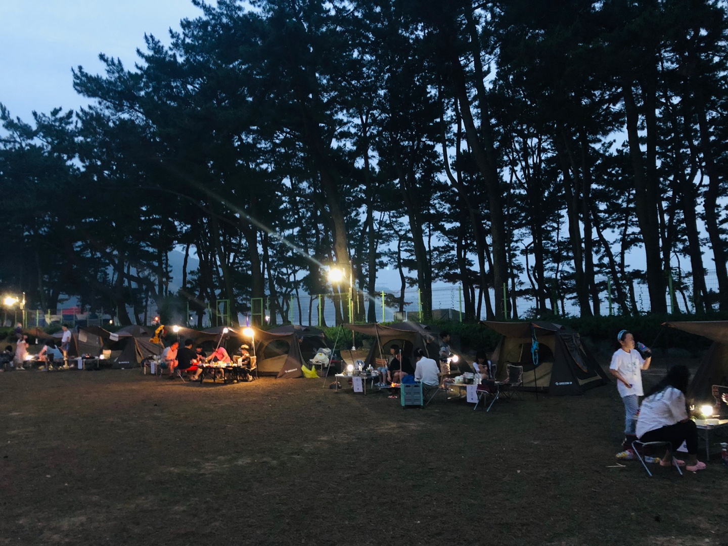 남해교육지원청, 남해랑 만남해! 남해얼과 생태체험 - 관련이미지2