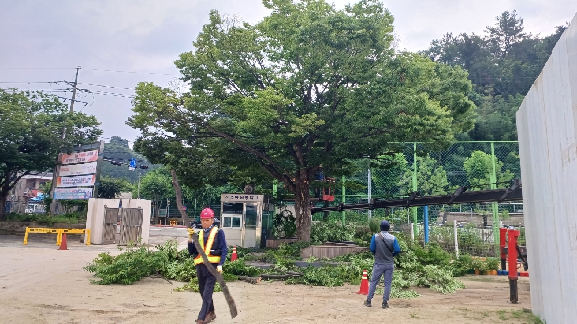 진주교육지원청 학교 수목 전정 위탁 시범사업 시작 - 관련이미지1
