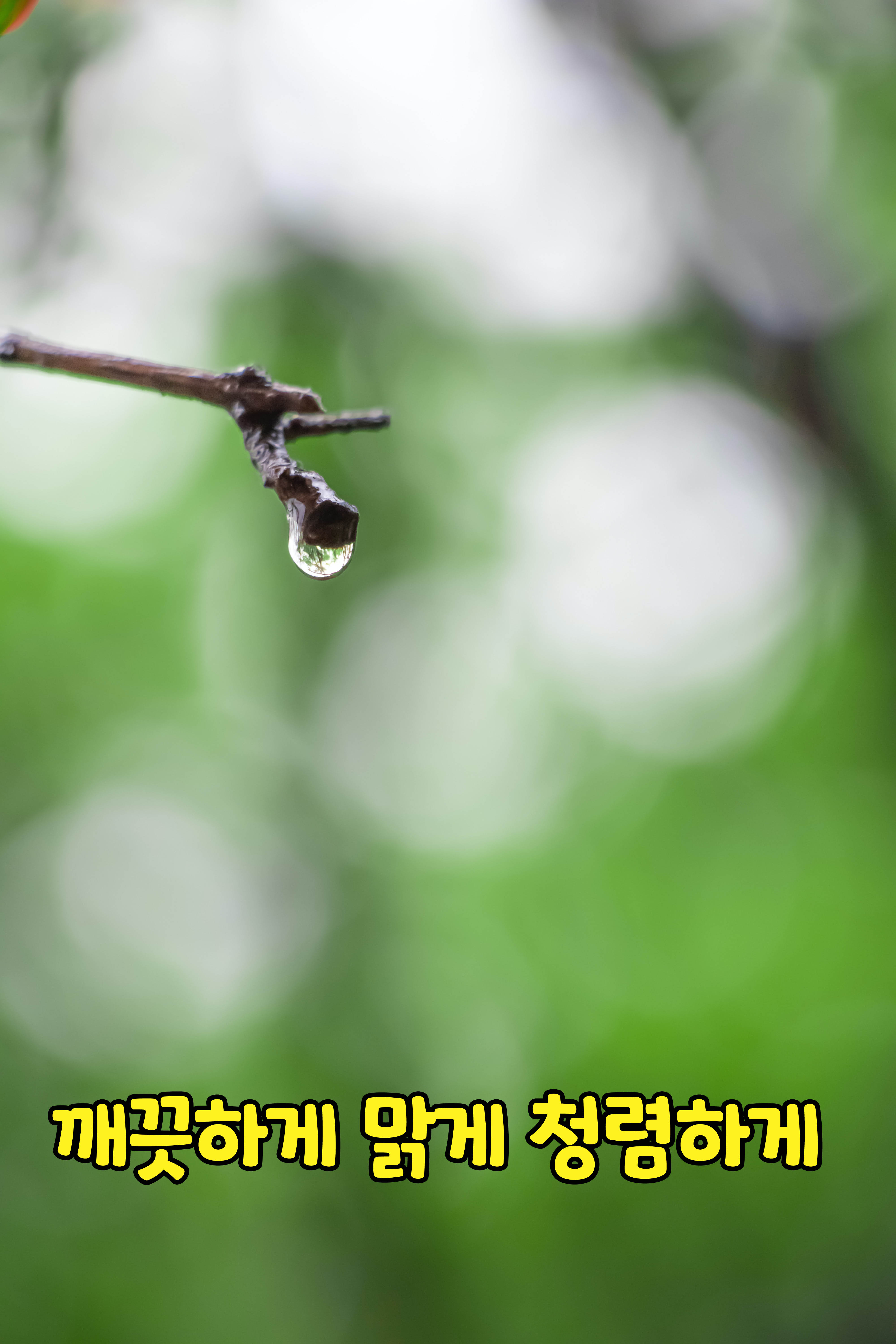 거창교육지원청, 행복한 청렴 이야기 청렴 사진 공모전 시상 - 관련이미지1
