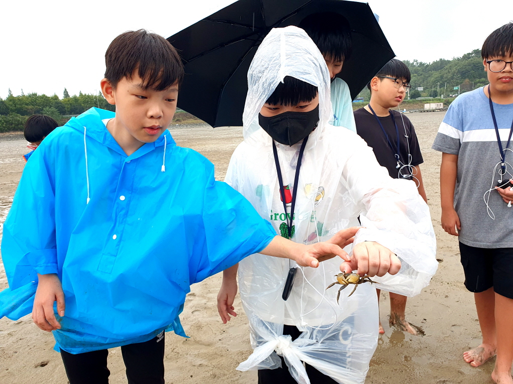 하동 악양초, 전남 구례군 토지초와 공동 교육과정 생태 프로젝트 운영 - 관련이미지3