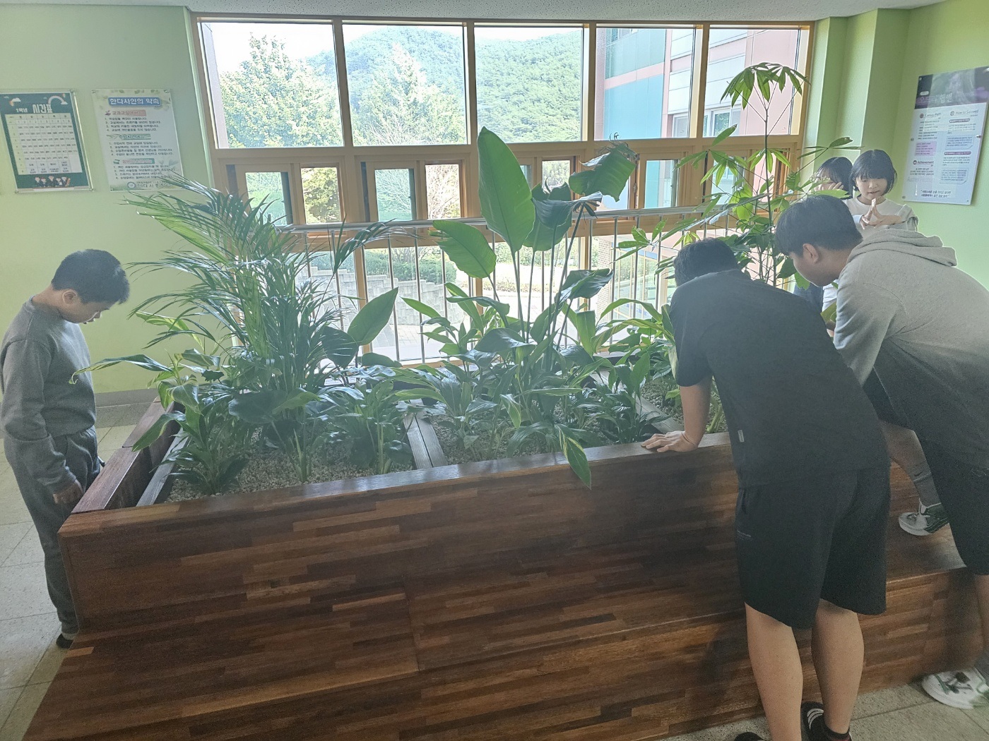 한다사중, 실내를 푸르게! 내 마음도 푸르게! 실내 정원 조성 - 관련이미지1