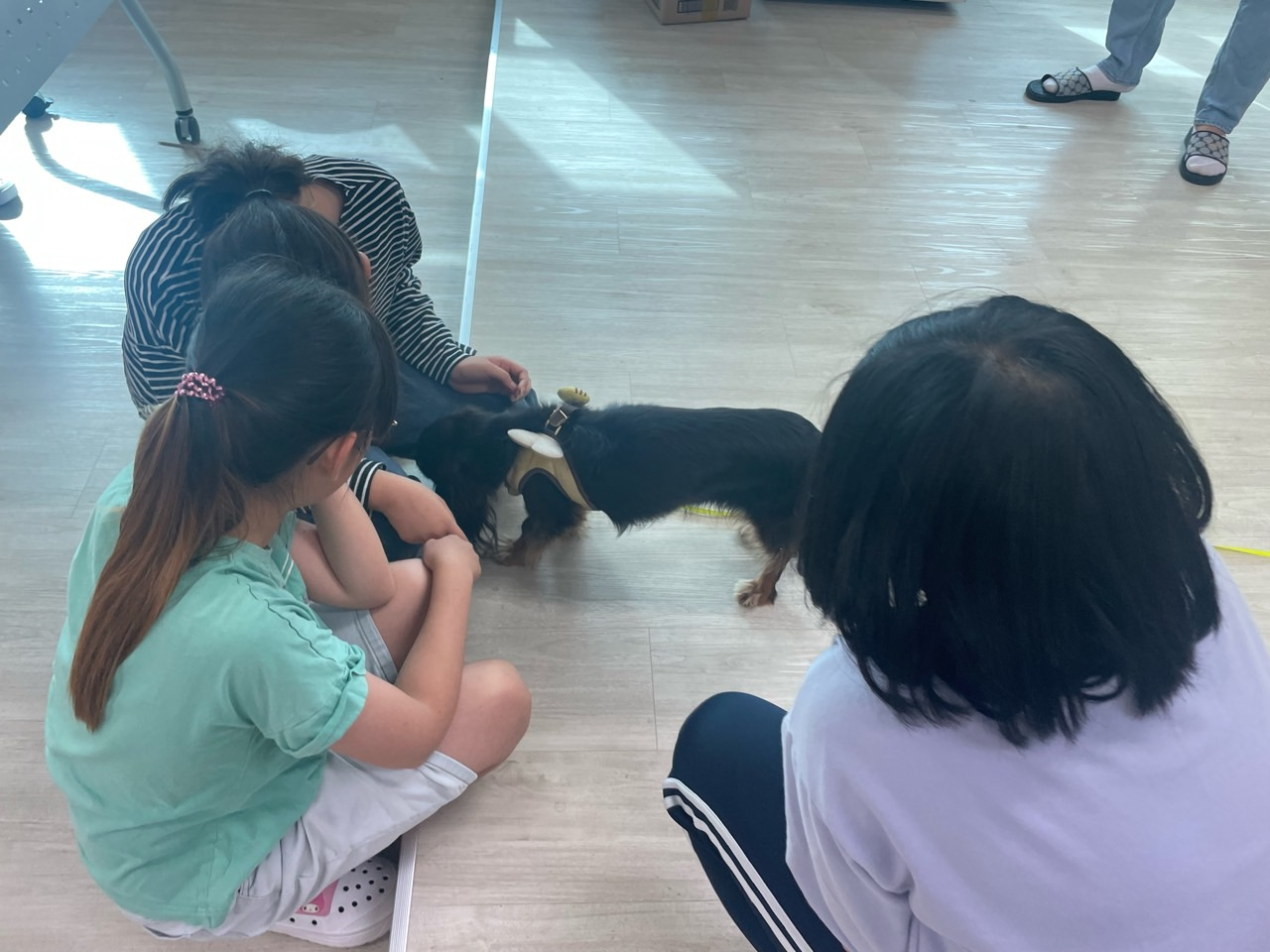 고현초, 동물사랑배움학교 프로그램 운영 - 관련이미지2