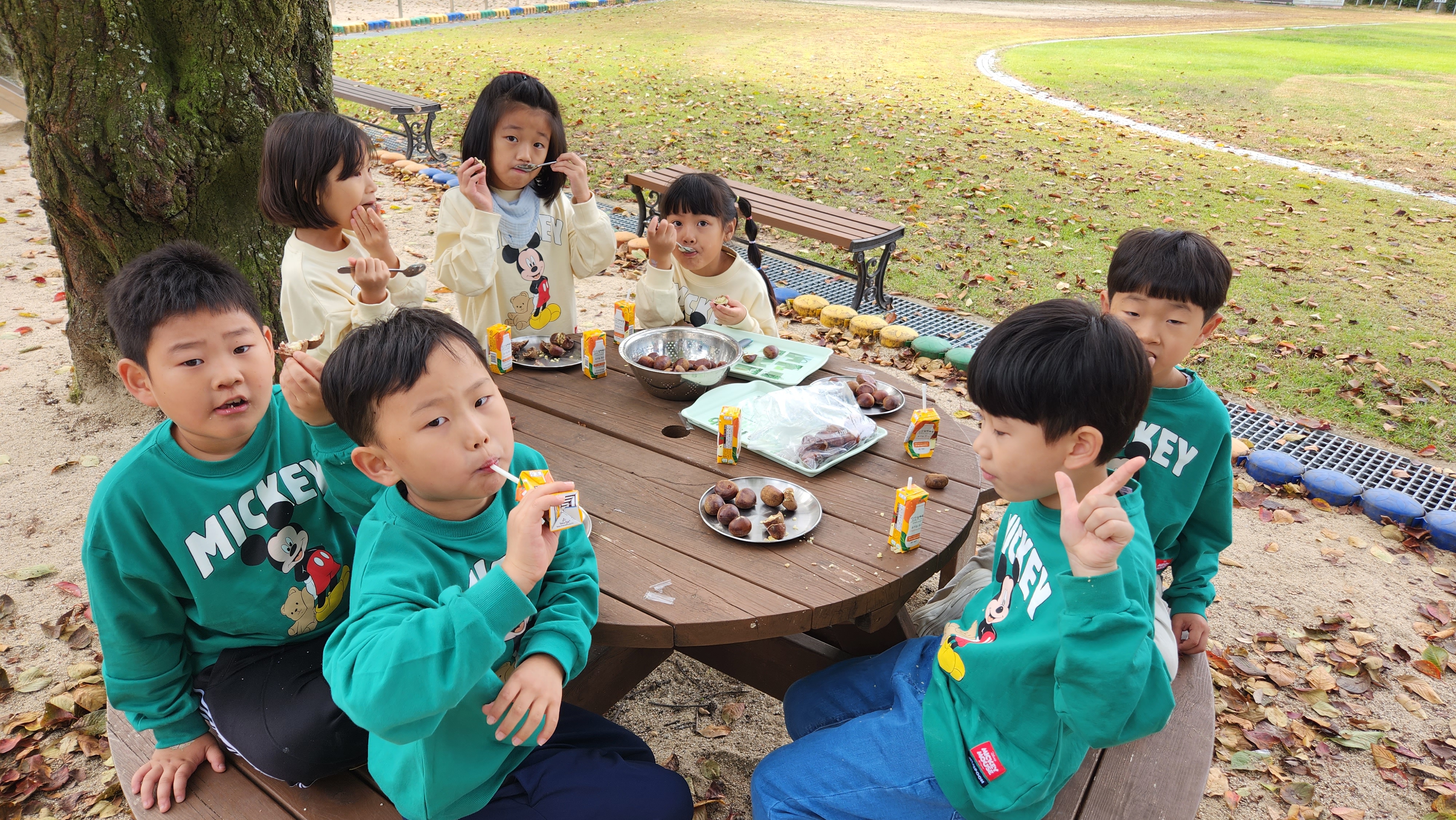 <백전초>알밤처럼 알찬 아이들! 백전초, 이웃 학교인 병곡초와  ‘오감 만족 사계절 공동 교육과정(가을, 밤)’운영 - 관련이미지2