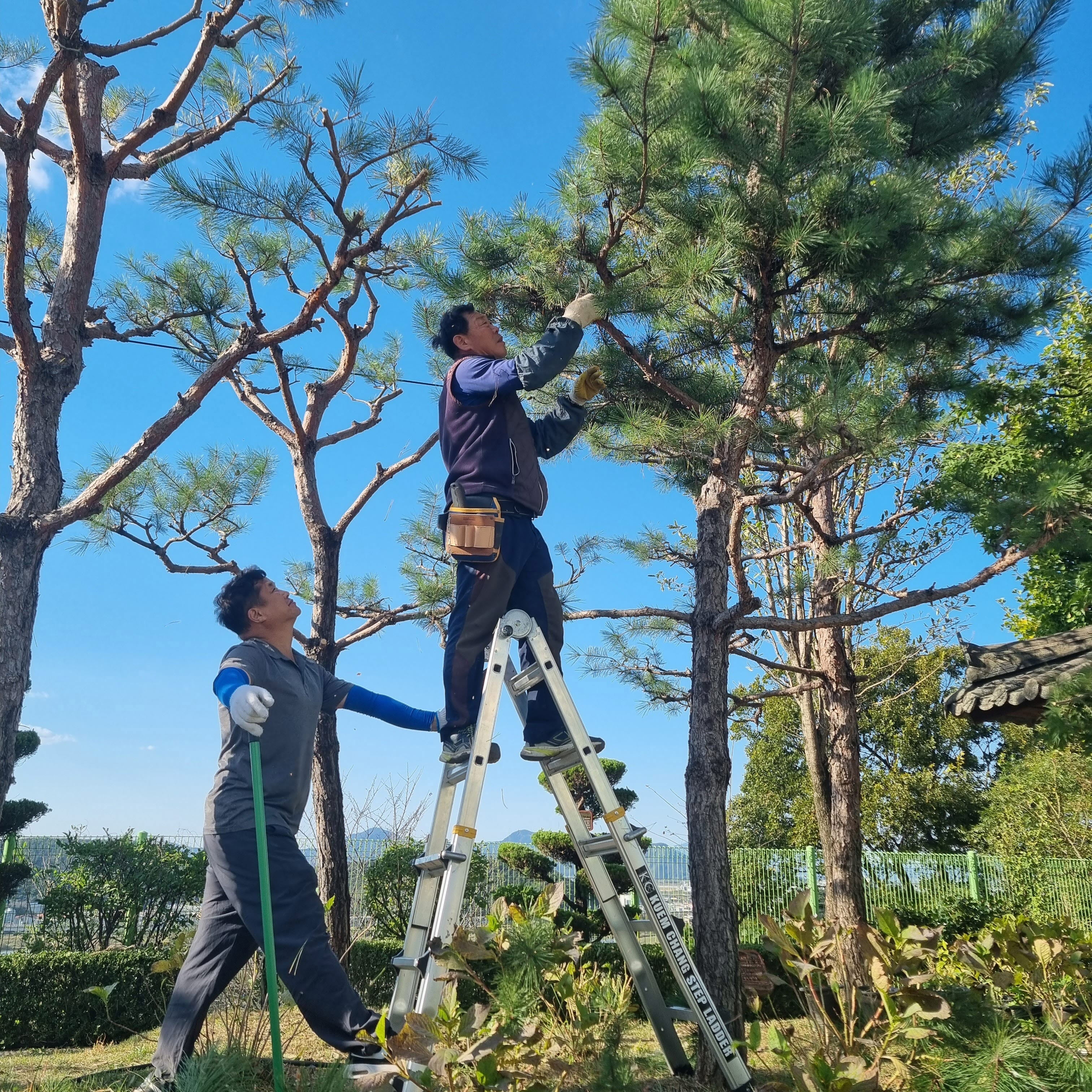 경남교육청-경남교육노조, 합동 봉사활동 - 관련이미지4