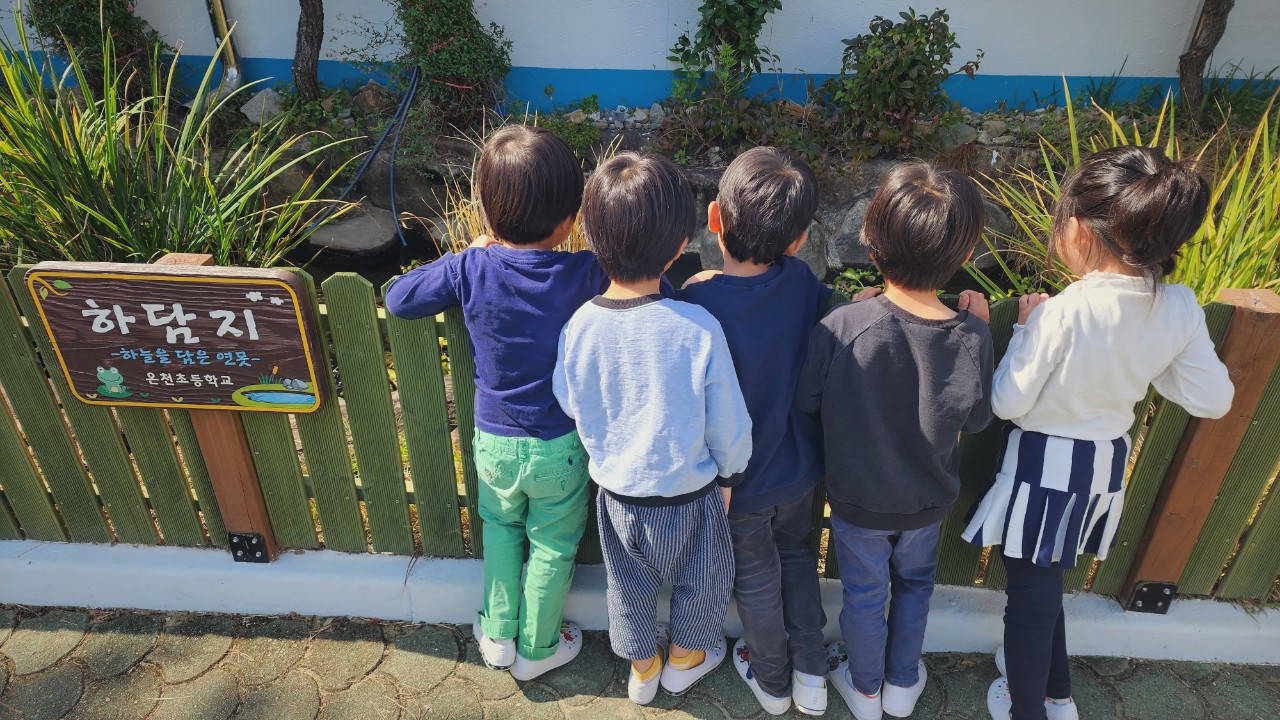 온천초, 하담지 구피의 새로운 가족을 찾습니다 - 관련이미지1