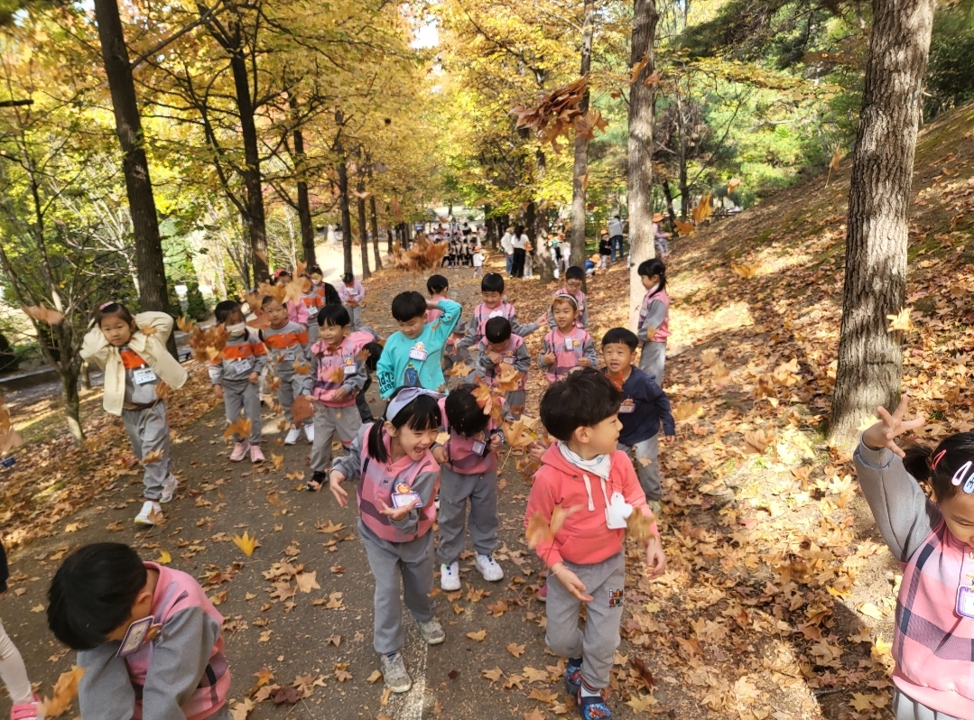 거제용소초병설유, 경상남도수목원 현장체험학습 실시! 가을 빛깔 가득한 수목원으로 가요! - 관련이미지2