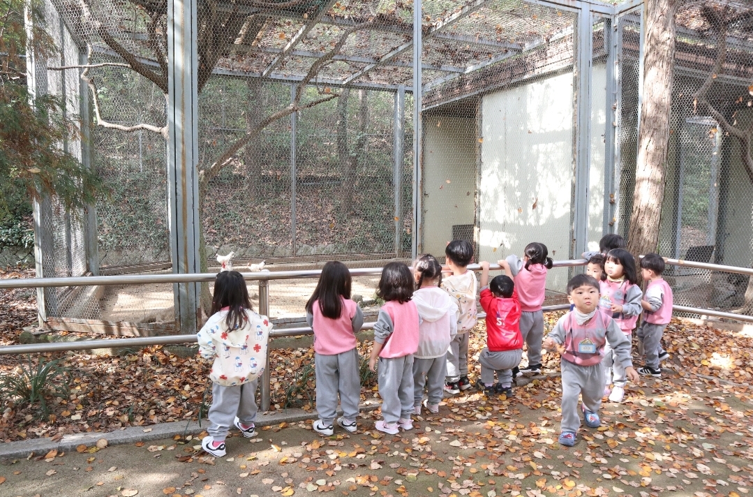 거제용소초병설유, 경상남도수목원 현장체험학습 실시! 가을 빛깔 가득한 수목원으로 가요! - 관련이미지3