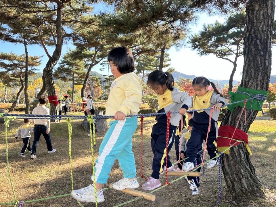 합천유치원, 숲에서 놀이하며 탄소저감화 활동에 앞장서... - 관련이미지4