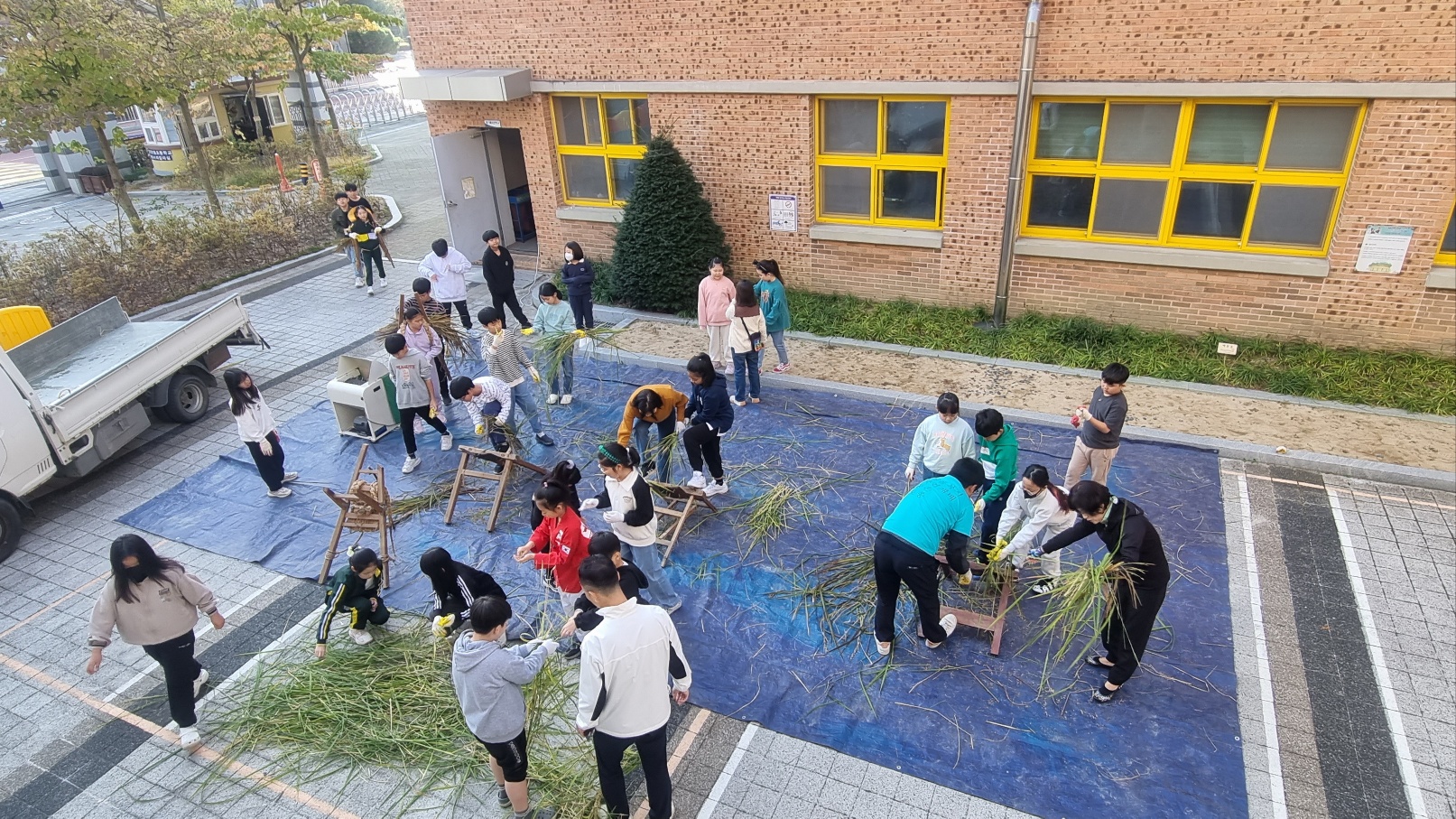 우리는 학교에서 벼베기 체험해요! - 관련이미지1