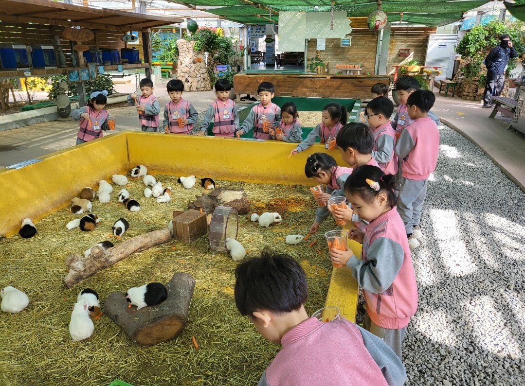 거제용소초병설유, 버드앤피쉬를 견학하다! 앵무새를 머리에 얹고 닥터 피쉬 맛사지를 해요.!! - 관련이미지2