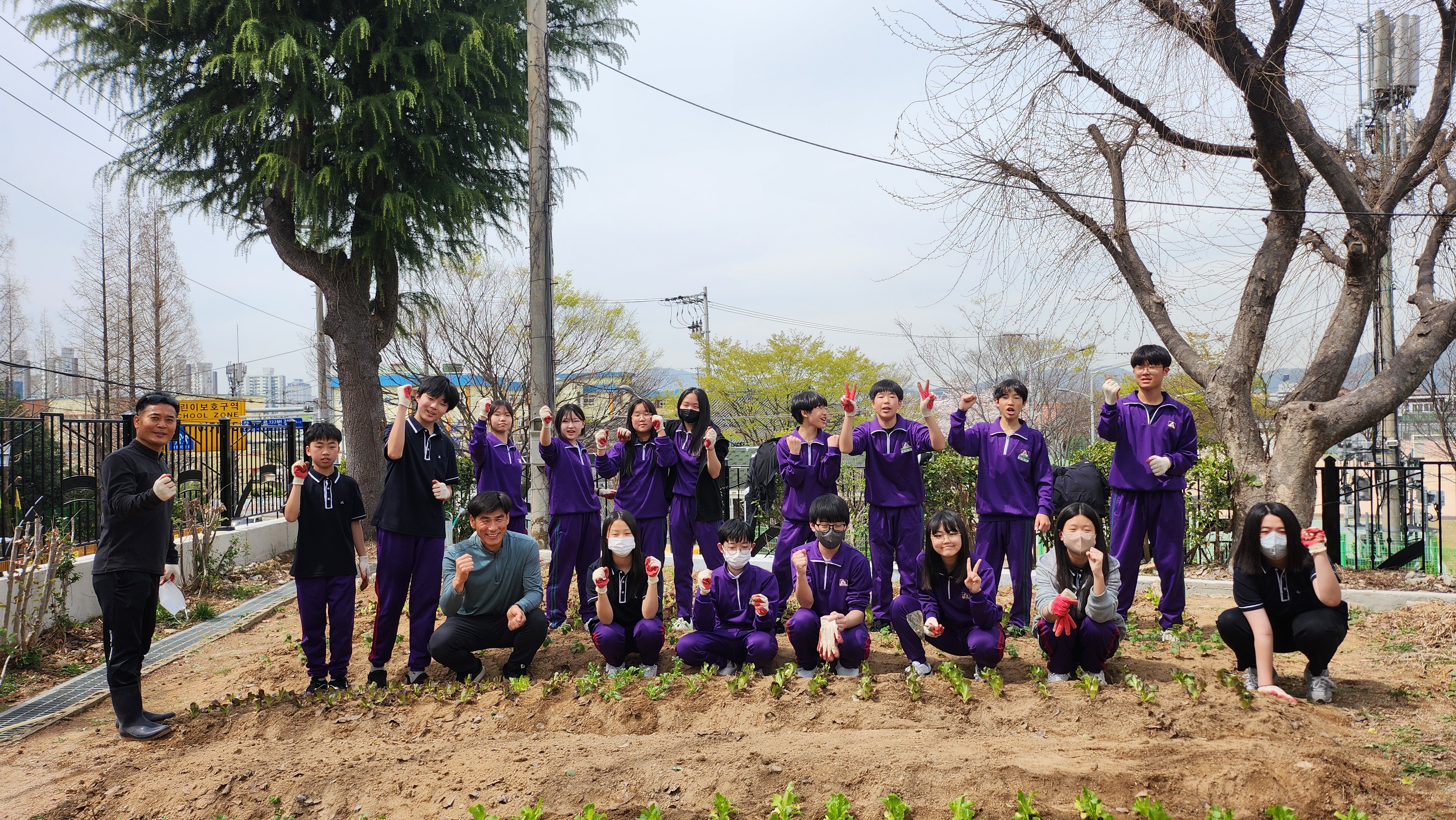 사파중학교 리얼팜 동아리 학교 텃밭에 씨를 뿌리다. - 관련이미지1