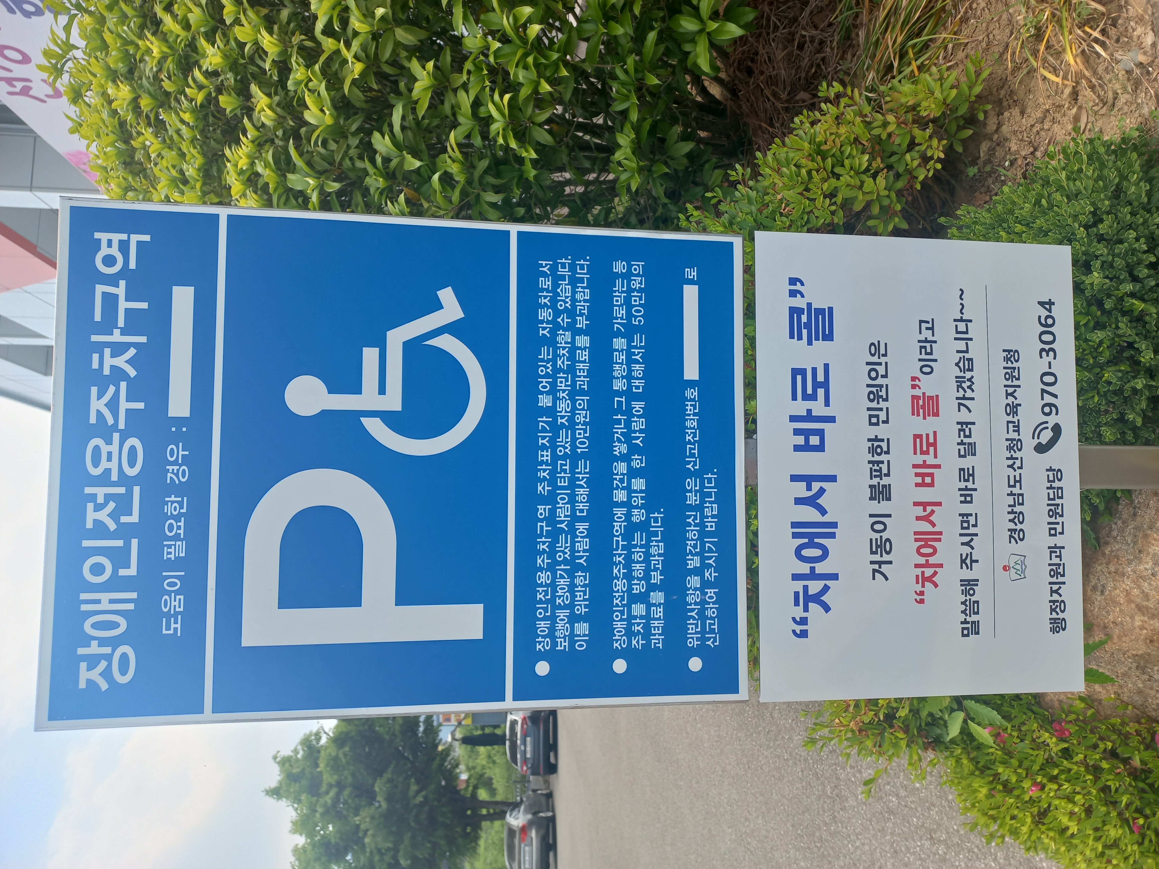사진 1