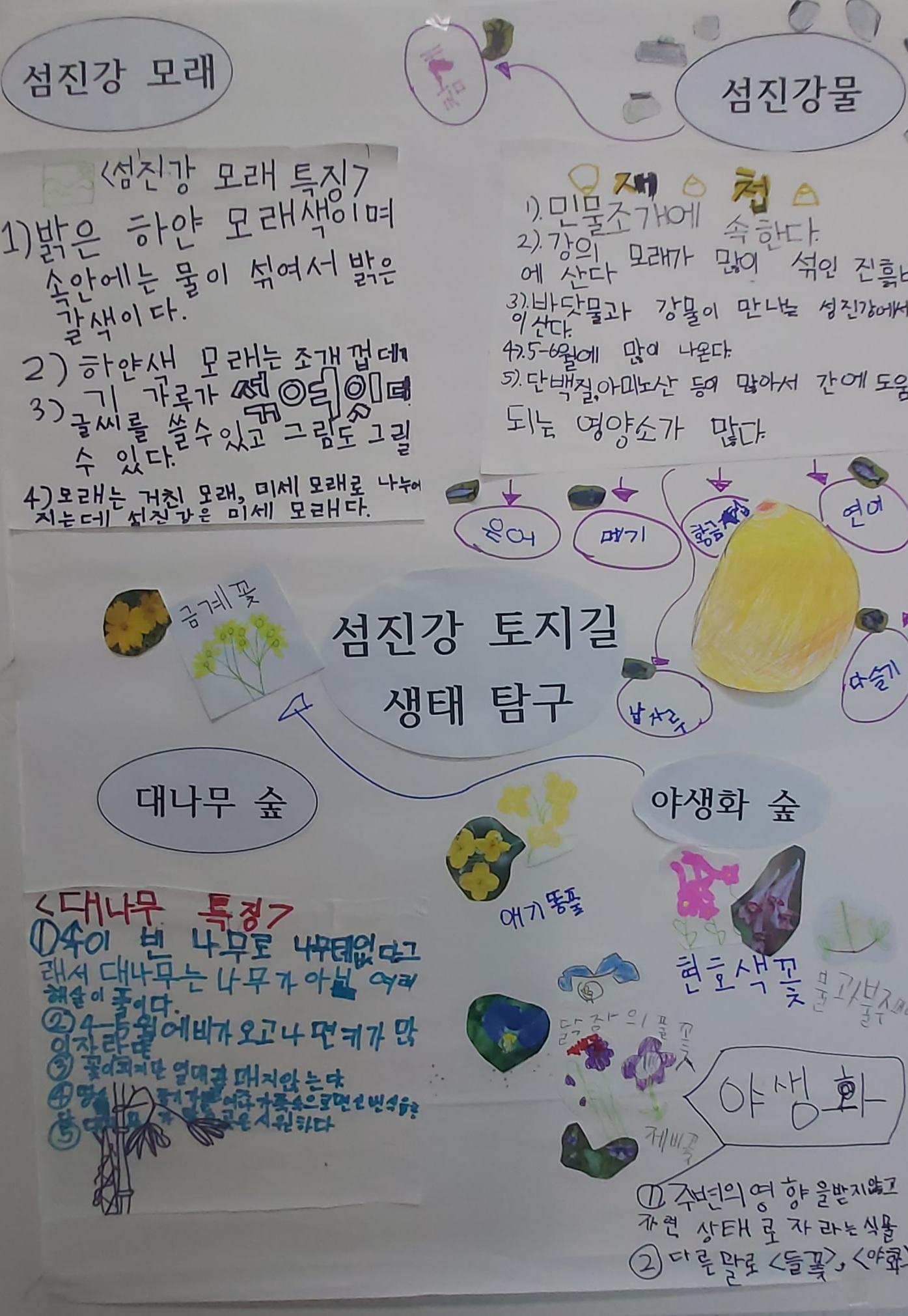 고전초,“내고장 섬진강 슬로시티 토지길 체험” 생태 프로젝트 - 관련이미지3