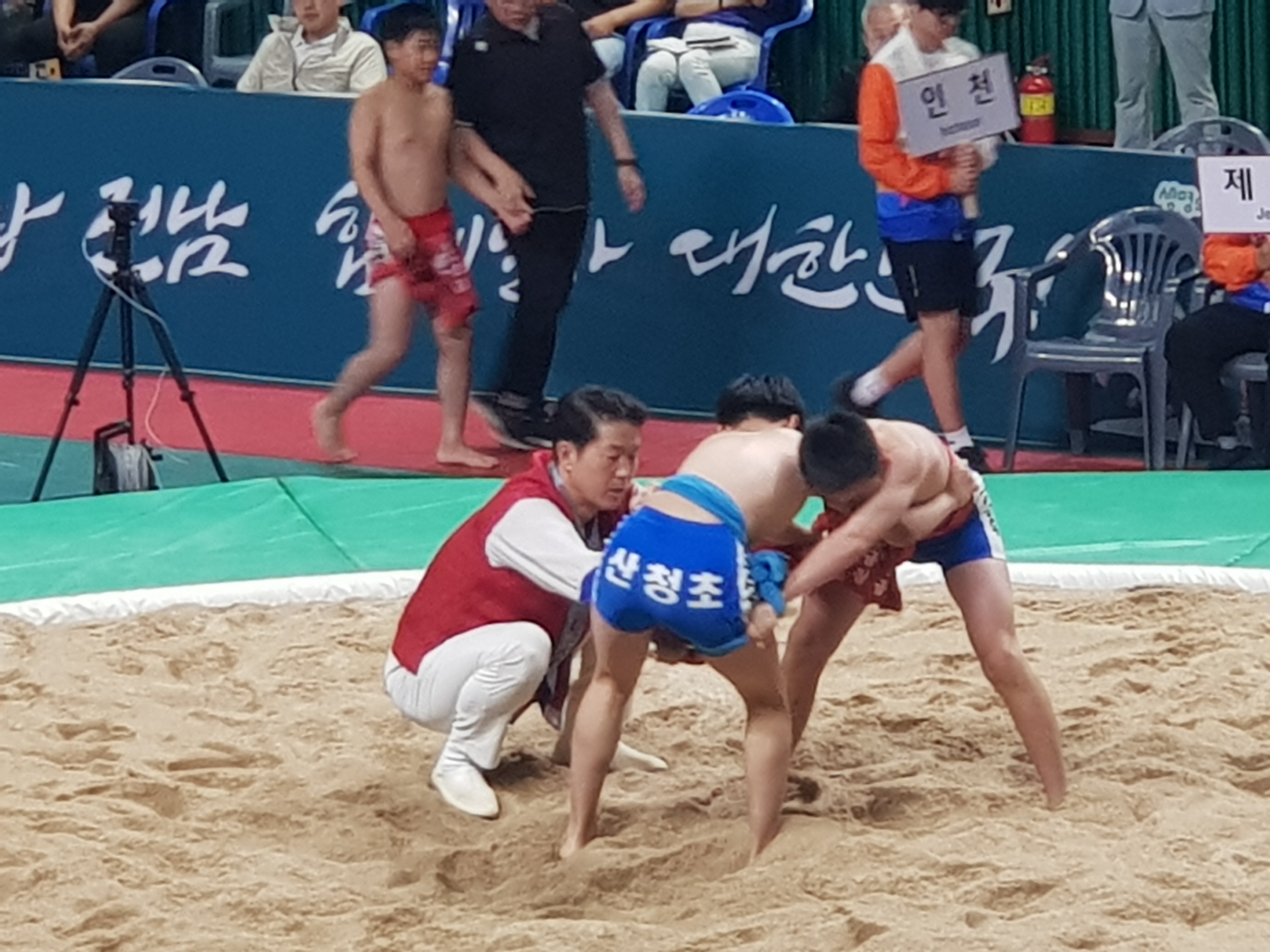산청교육지원청,  ‘제53회 전국소년체전’경남 초등학교 씨름의 중심으로 우뚝 - 관련이미지3