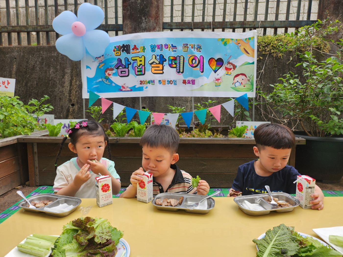 진영대창초병설유치원, 우리 손으로 직접 기른‘쌈 채소와 함께하는 삼겹살 데이 실시 - 관련이미지6