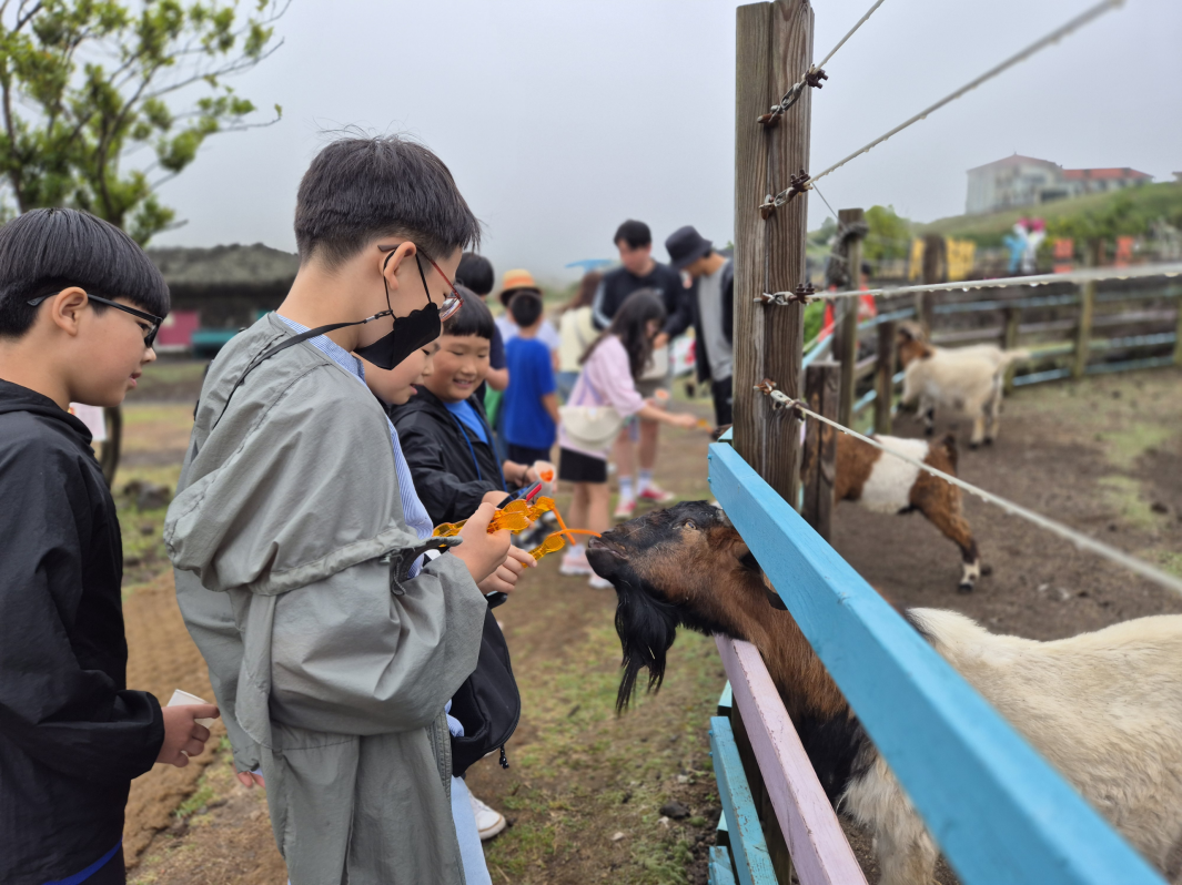 궁항초, 놀멍 쉬멍 걸으멍 느끼는 제주도 문화체험 - 관련이미지5
