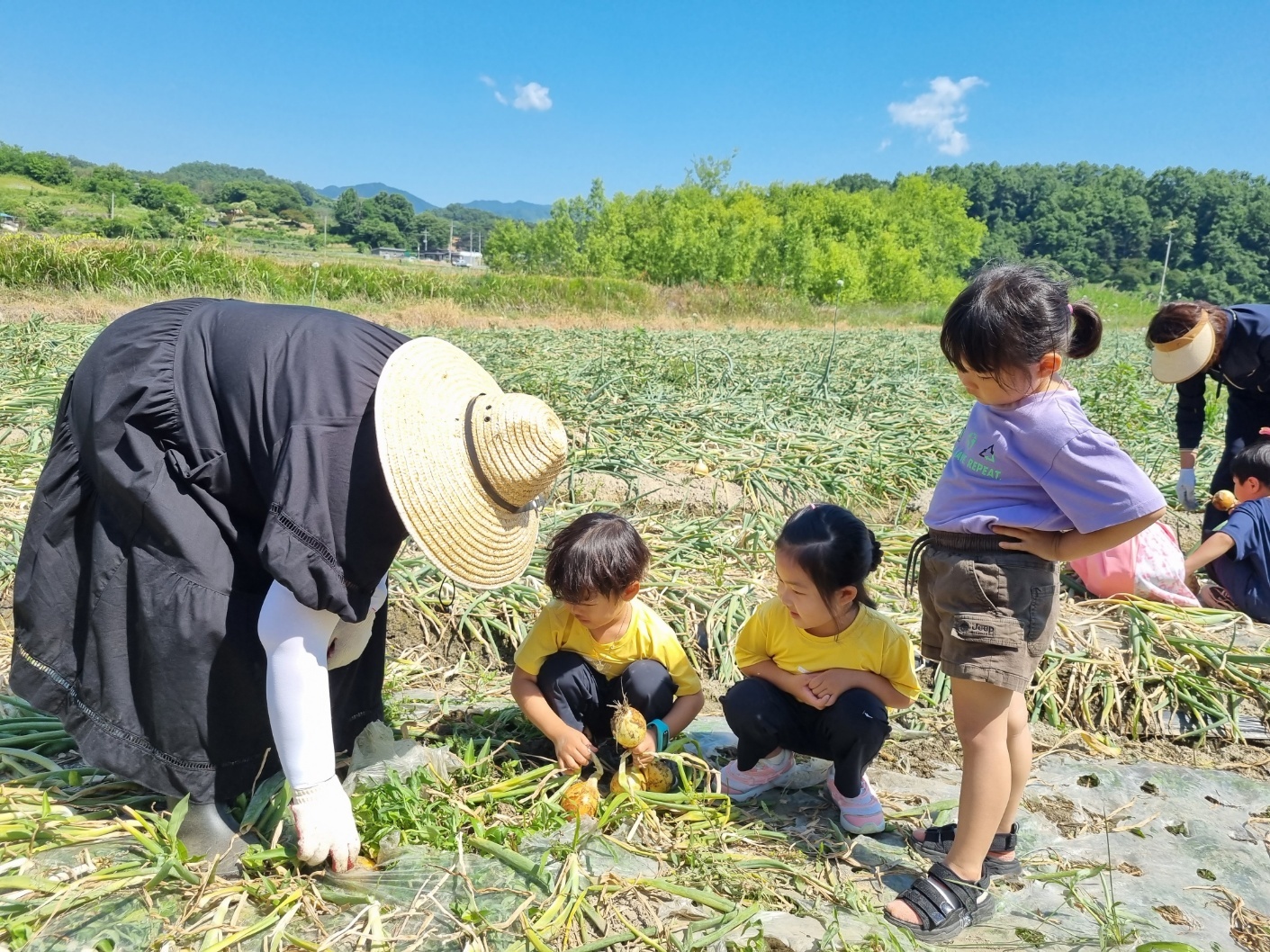 천령유, 함양 양파 수확 일손돕기 - 관련이미지2