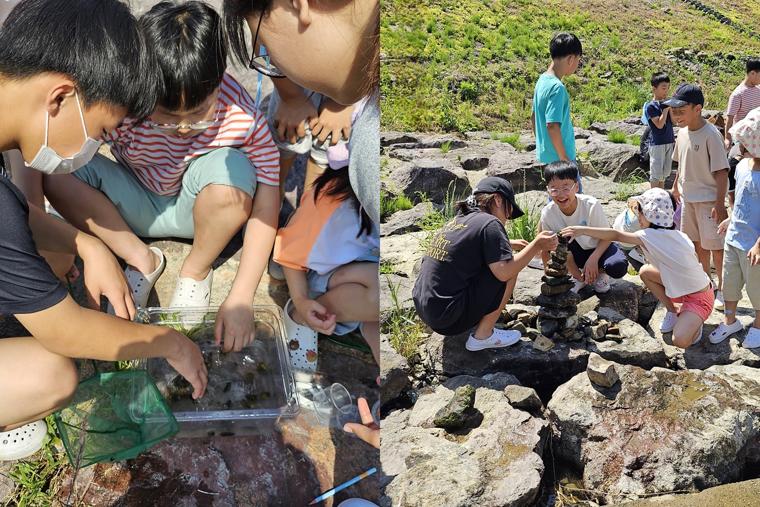 도천초, 환경교육특구 생태 탐구 동아리 활동 - 관련이미지15
