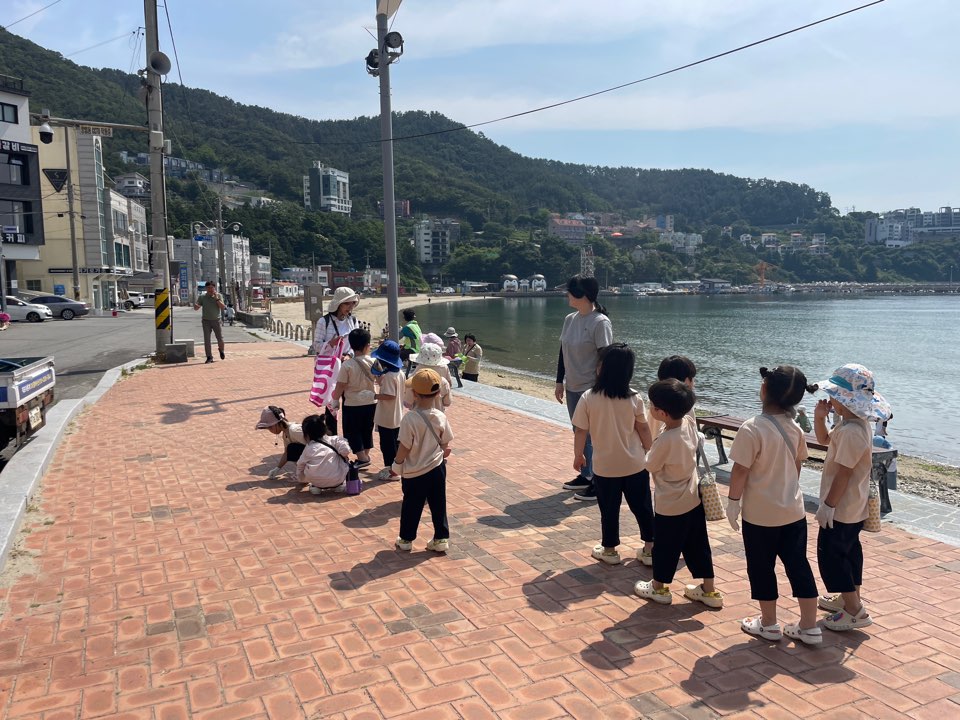 거제유치원, 덕포해수욕장 쓰담쓰담 진행 - 관련이미지2