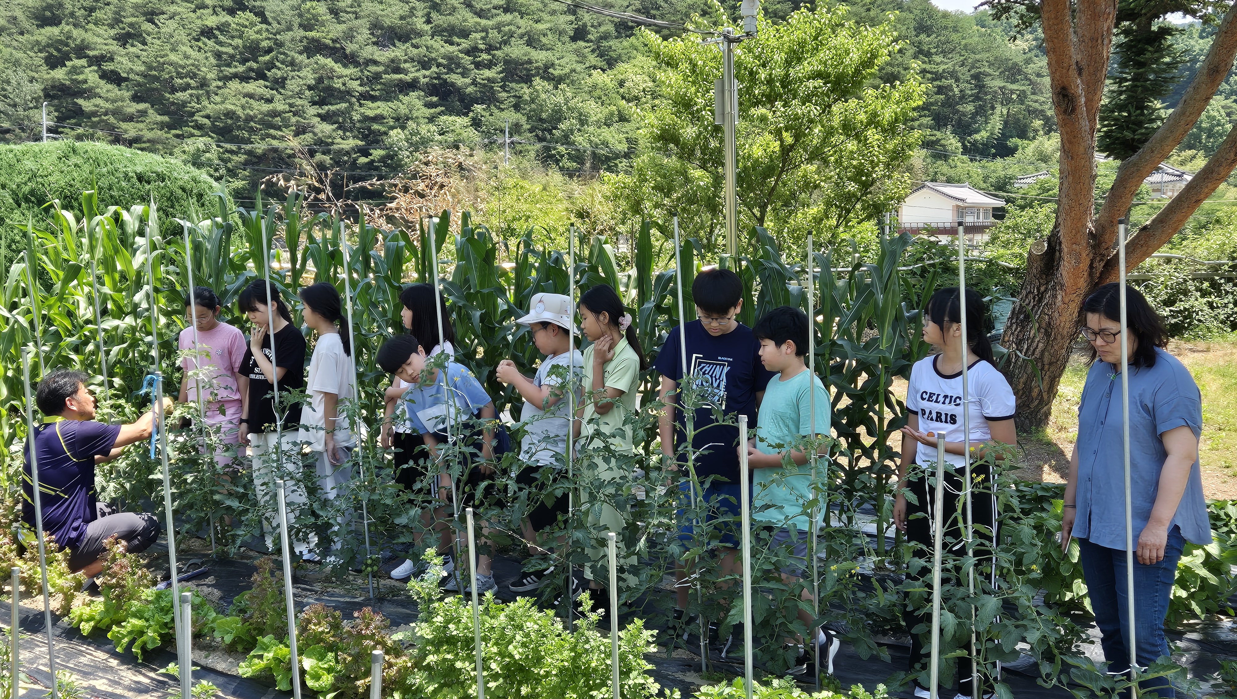 지곡초, 채소 및 과일 가꾸기로 생태 감수성 UP - 관련이미지3