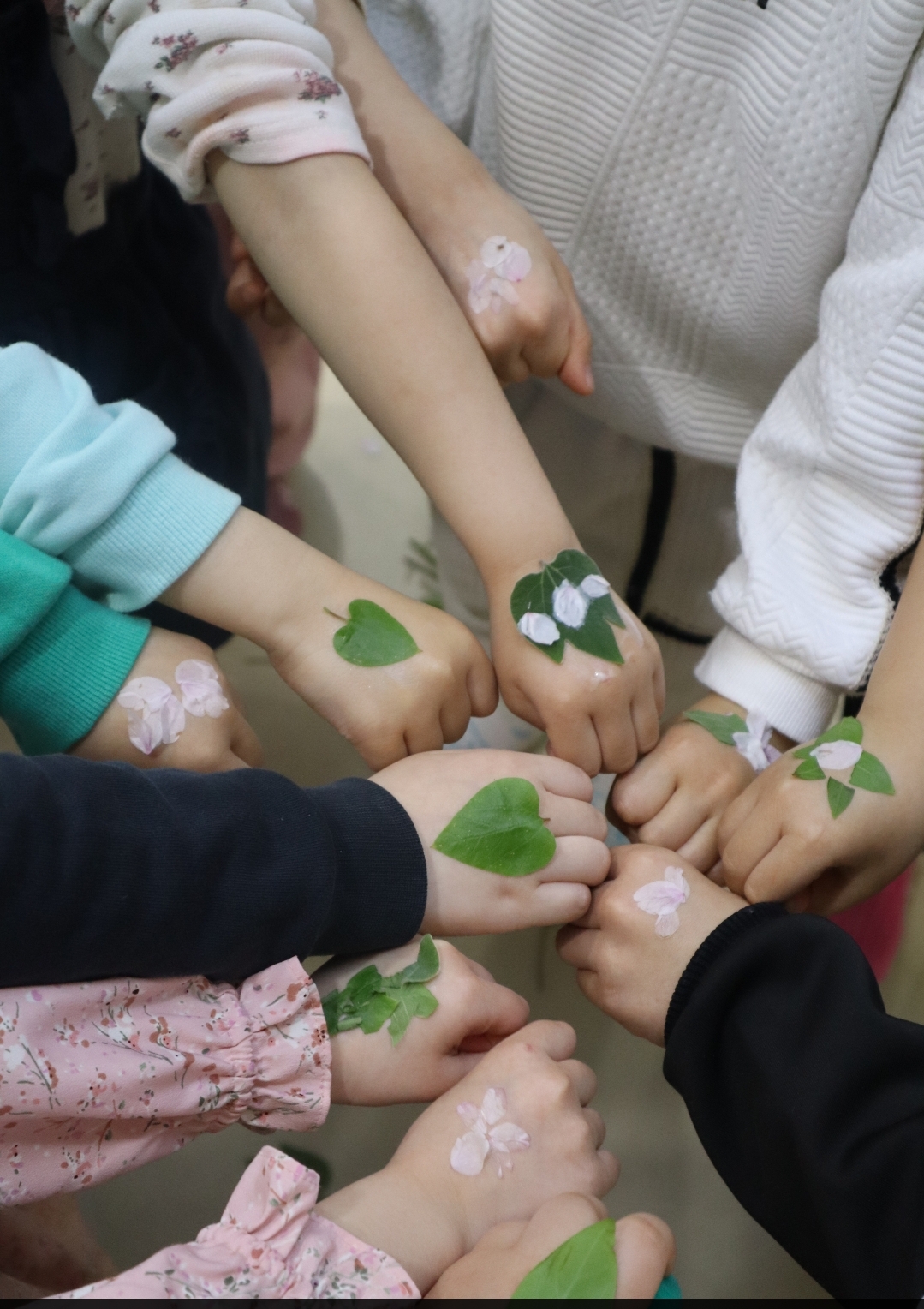 거제용소초병설유, 유치원에서 만나는 숲놀이 체험! 특수교육대상자 맞춤형 특성화 활동 실시 ! - 관련이미지1