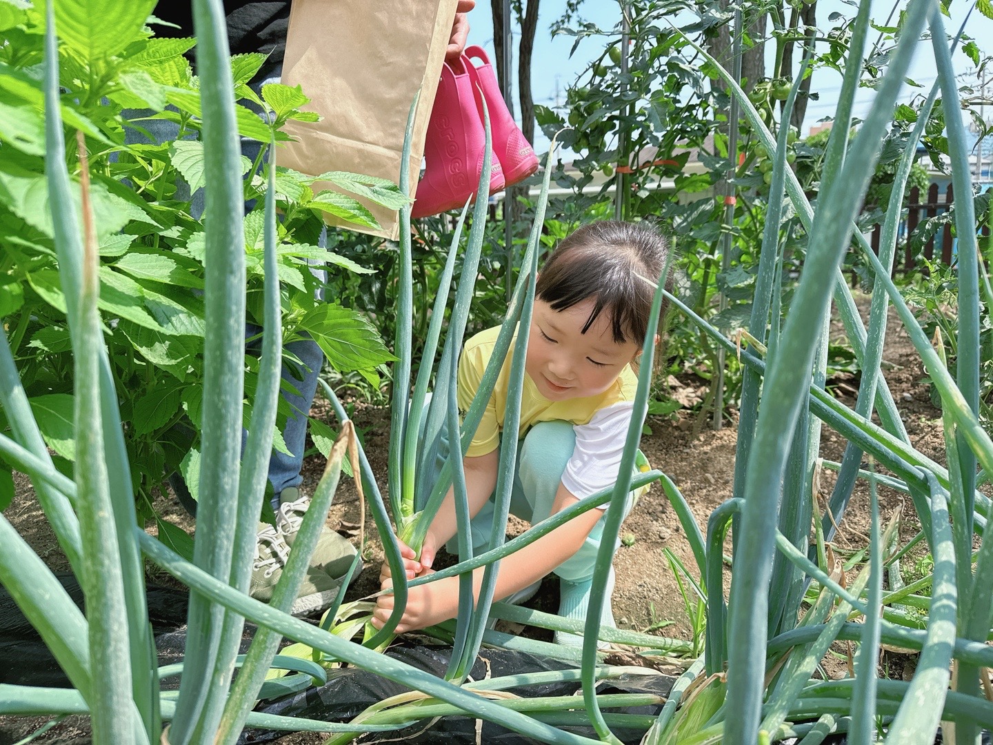 김해체험분원, ‘문화예술과 함께하는 생태체험’ - 관련이미지2