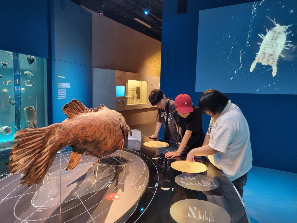 지정중학교, 싱가포르로 다녀온 수학여행! - 관련이미지3