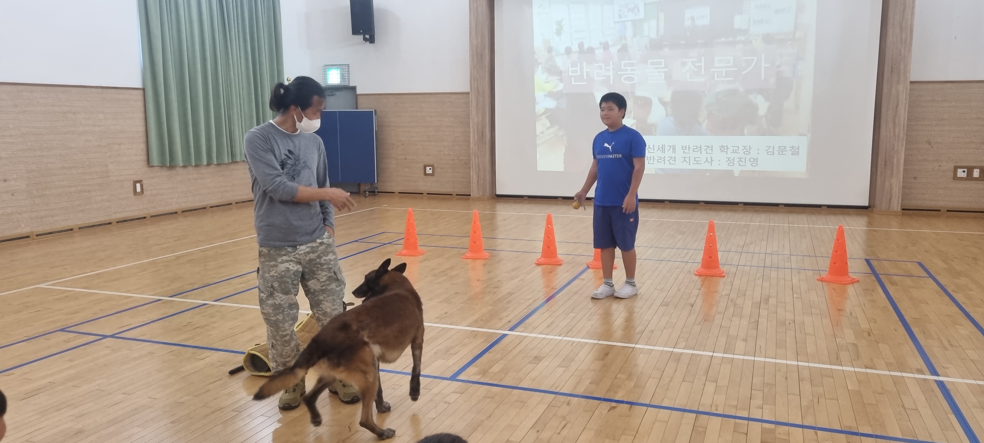 갈육초, 반려견 훈련사 진로 체험 활동 실시 - 관련이미지1
