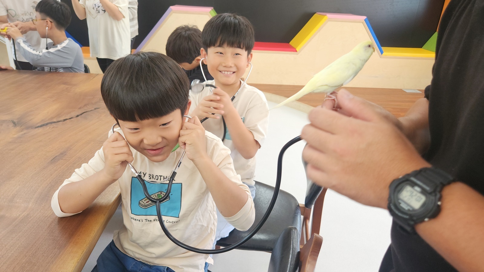 <병곡초> 학교 숲에서 오감으로 느끼는 생태교육 - 관련이미지1