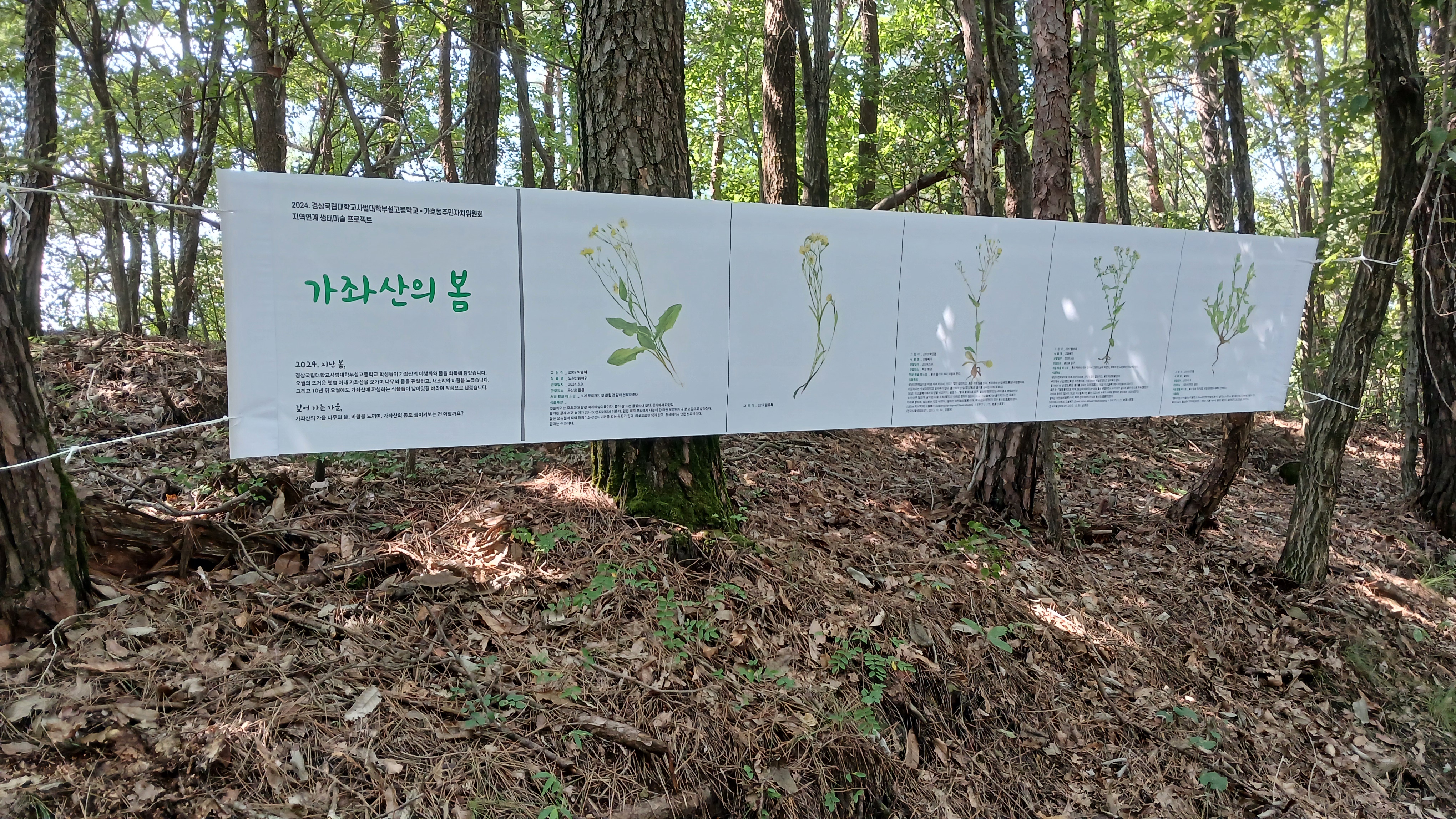 가좌산에서 자연과 예술이 만나다 경상사대부설고-가호동주민자치위원회, 학교-지역 연계 생태미술 프로젝트 진행 - 관련이미지4