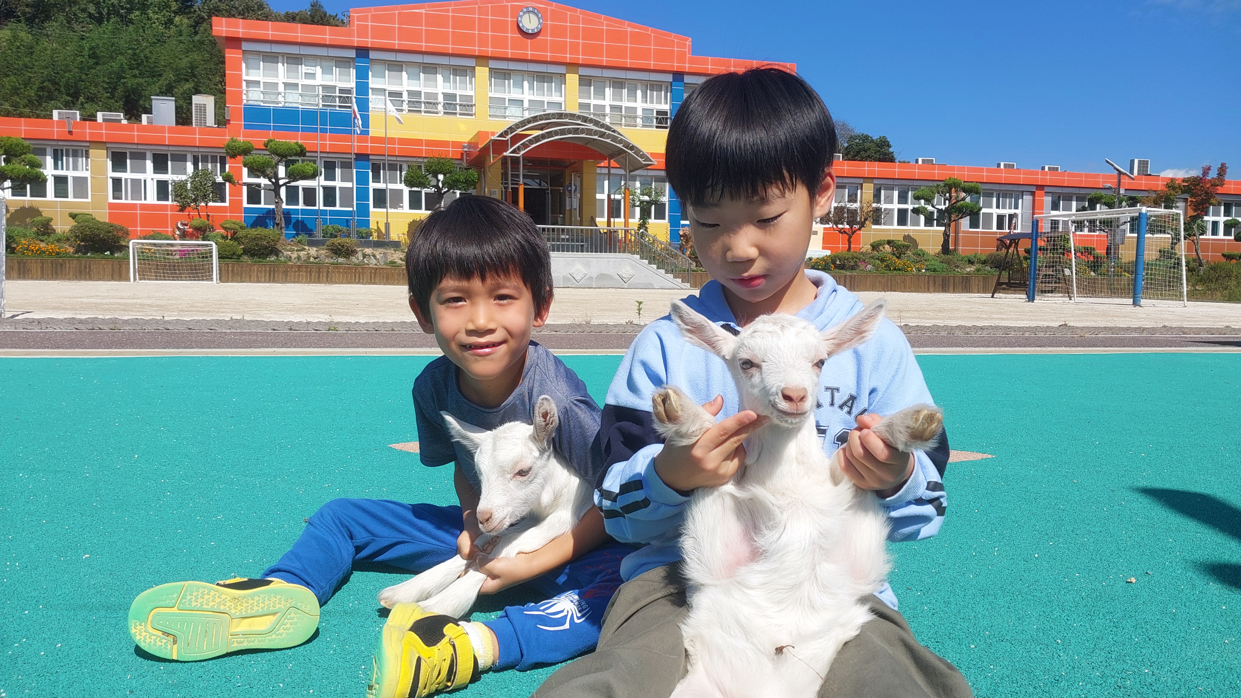 함양 금반초, 유산양 기르며 친환경 생태전환교육 인기 만점 - 관련이미지2