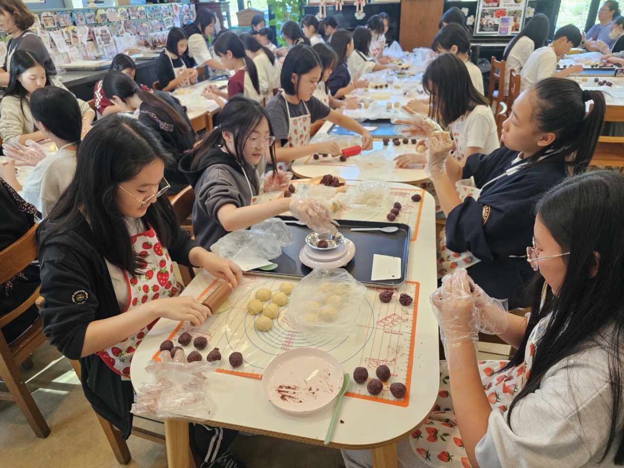 함안여자중학교, 통영에서 함께한 1학년들의 환경 및 지역 특화체험 활동 - 관련이미지3