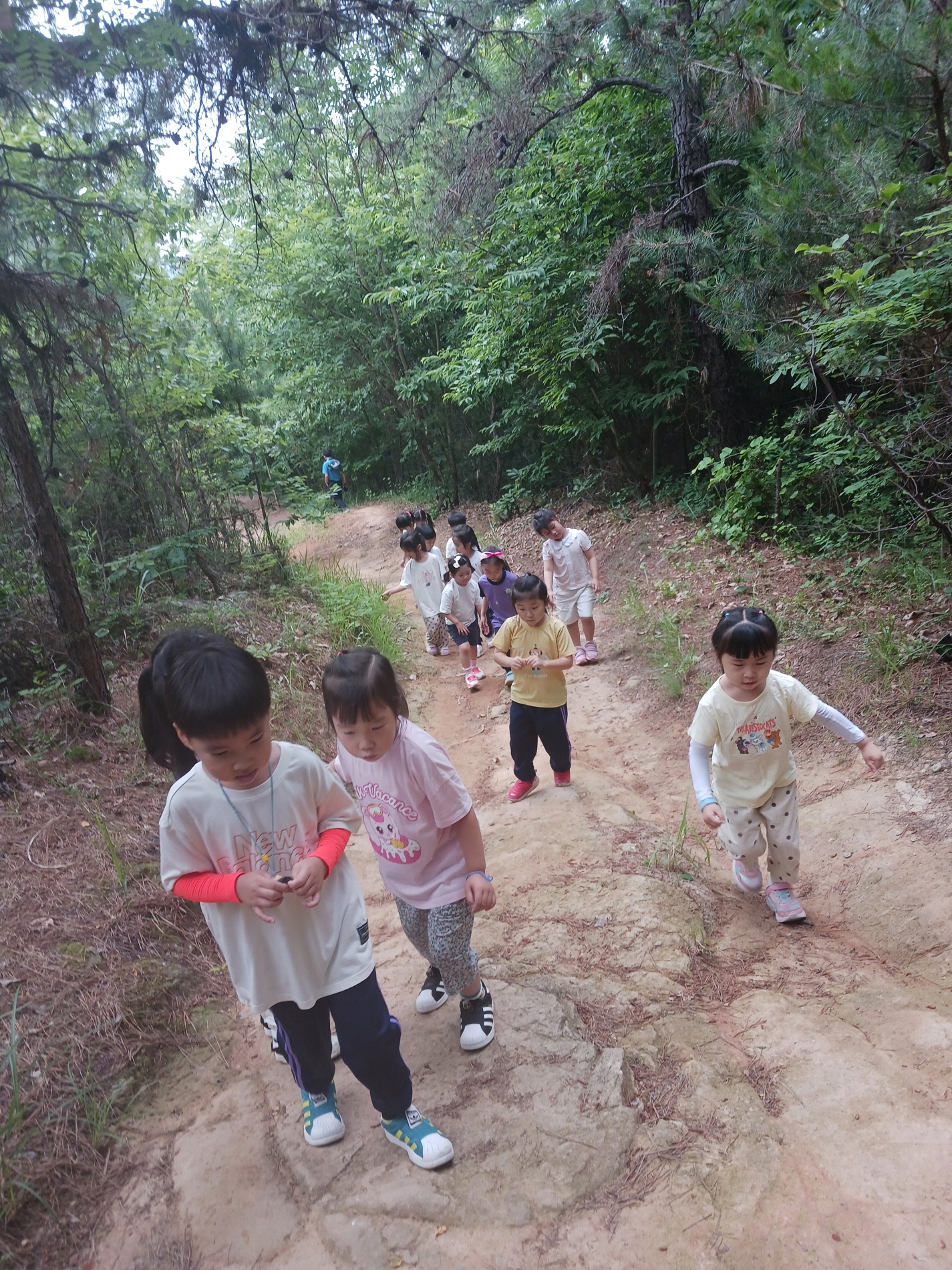 평거초등학교병설유치원 우리는 평거 숲 놀이 대장 - 관련이미지5