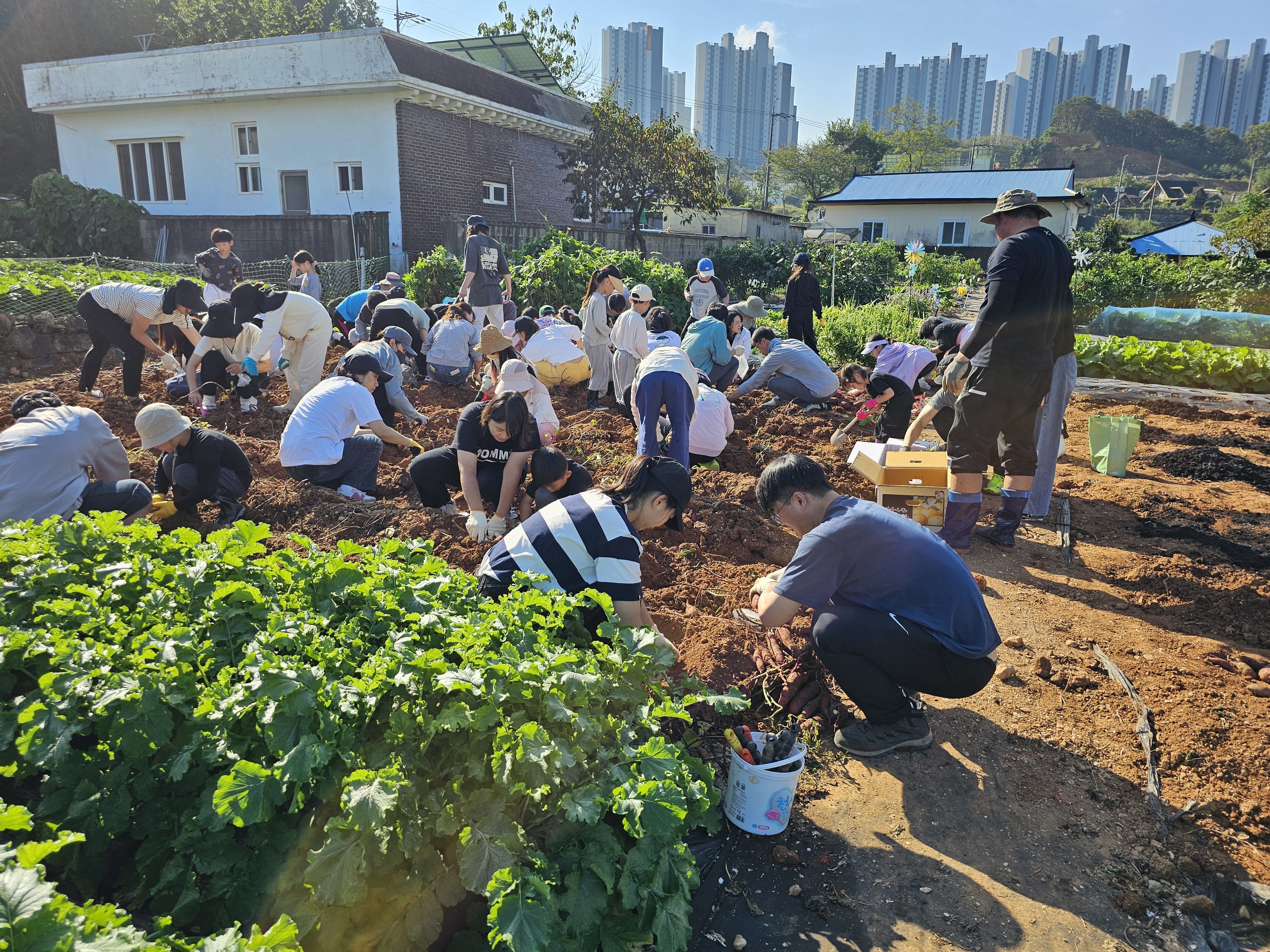 거제양정초등학교, 양정 가족 사랑 모꼬지 진행 - 관련이미지1