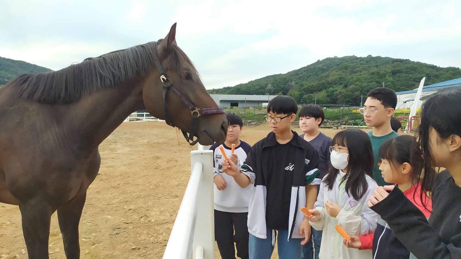 밤톨이들의 가을 제대로 즐기기, 승마 체험학습 실시 - 관련이미지4