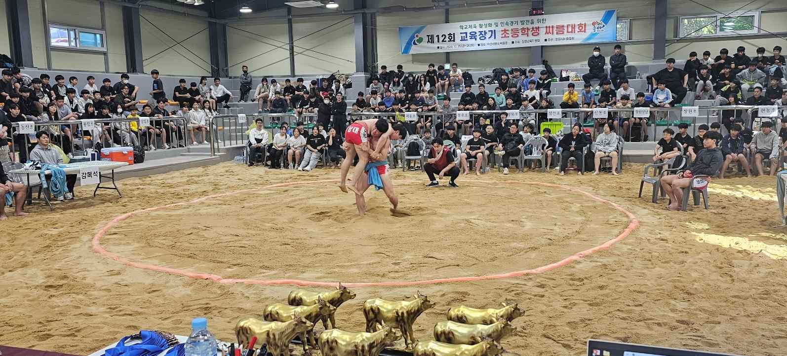 창원교육지원청, 미래의 천하장사 으랏차차 씨름의 멋과 흥에 빠지다 - 관련이미지2