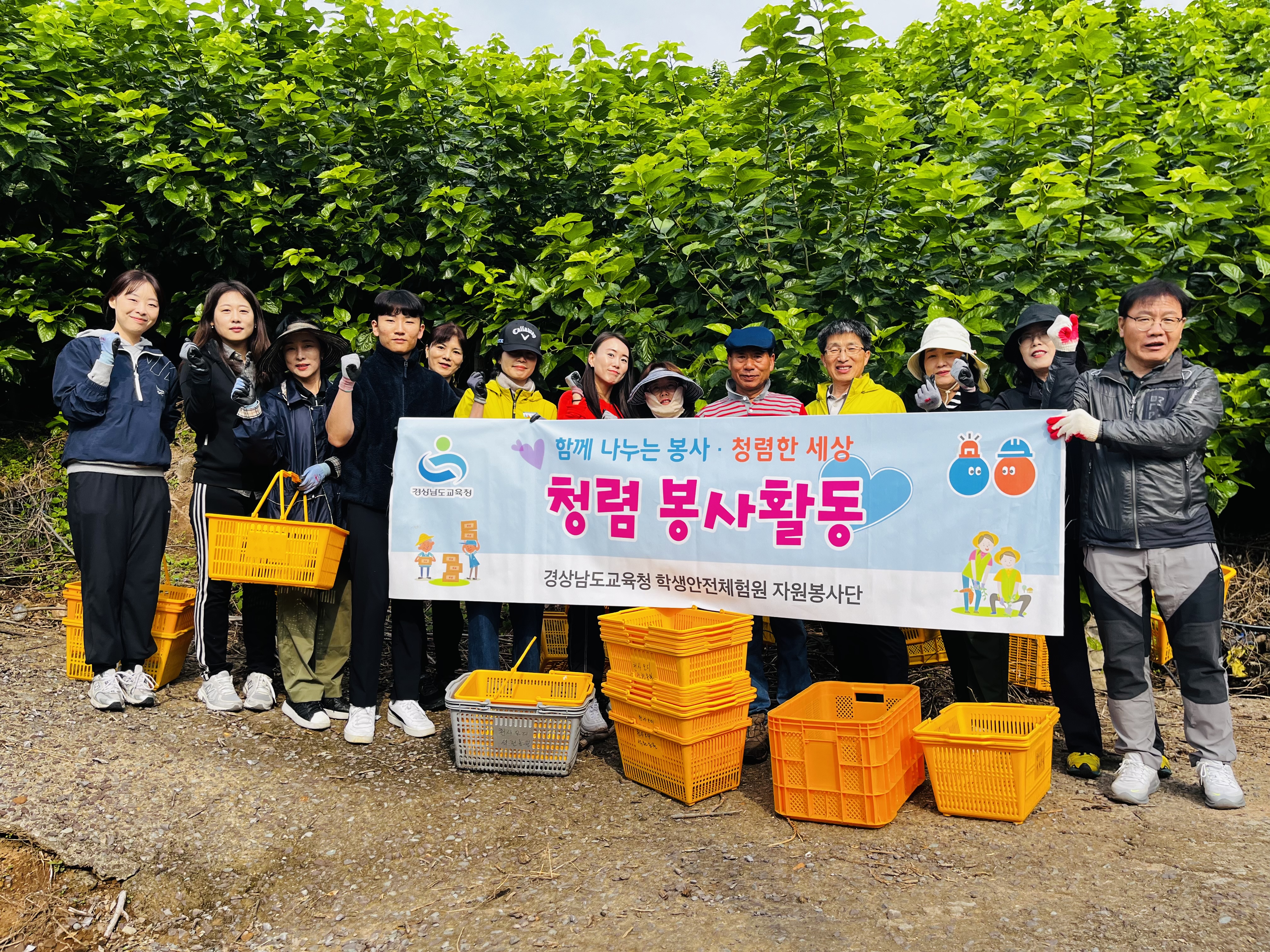 학생안전체험원, 경남도의회의원과 농촌일손돕기 청렴봉사활동 지원 - 관련이미지3