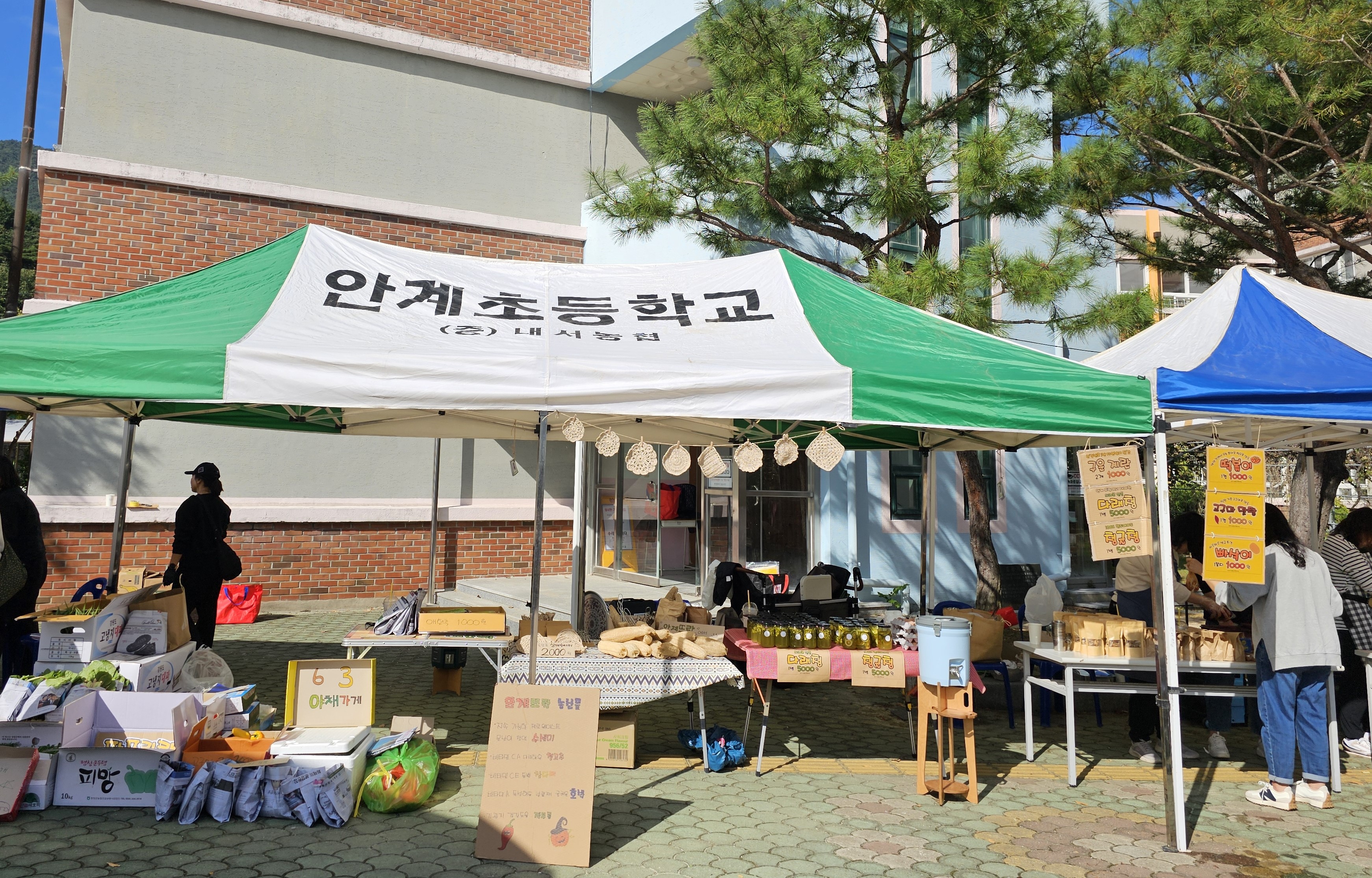 안계초등학교, 안계 어울림 초록마켓을 열어 -기후위기 대응을 위한 우리들의 작은 실천- - 관련이미지4