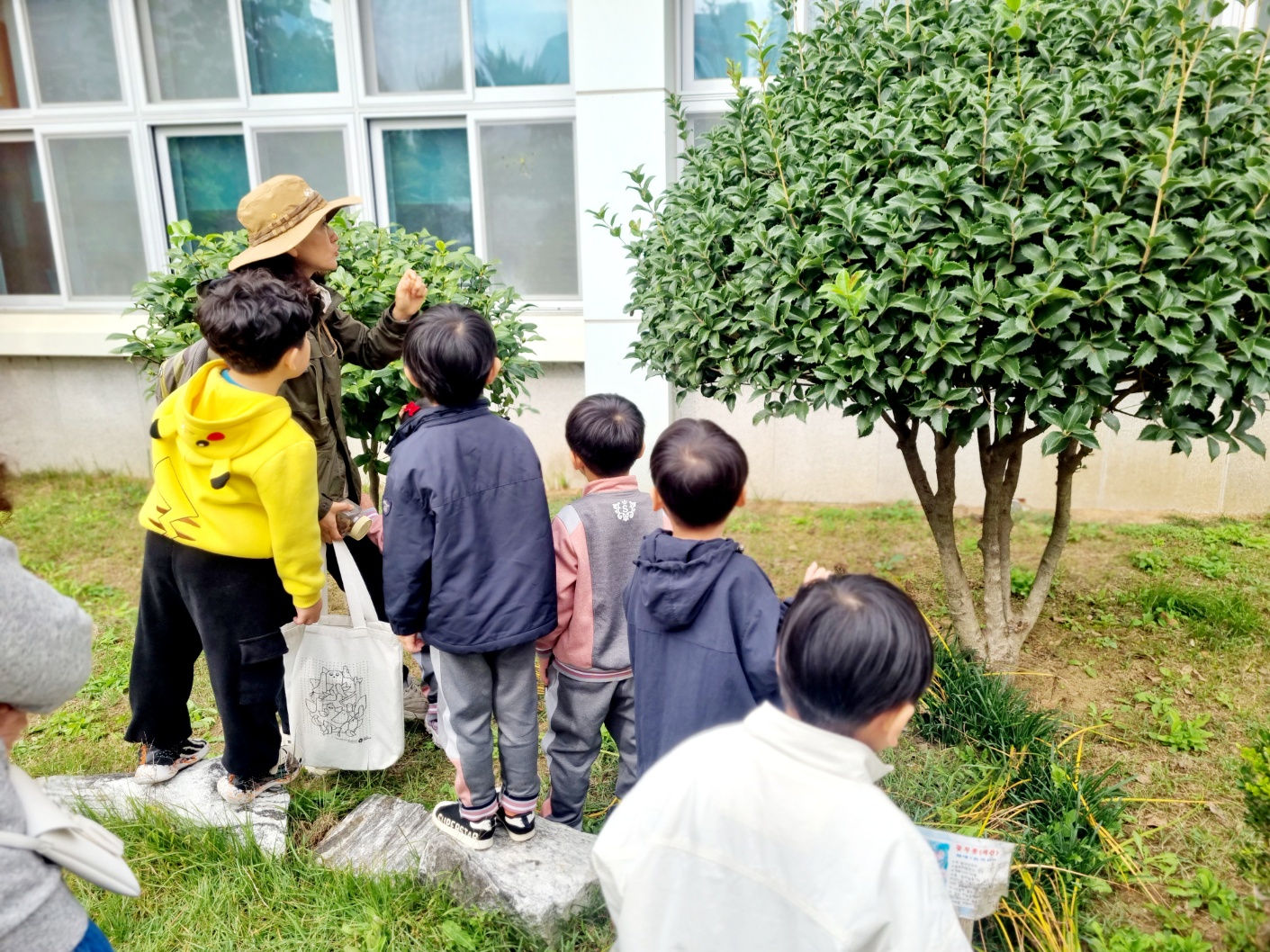 석전초등학교병설유치원, 숲체험 활동 - 관련이미지1
