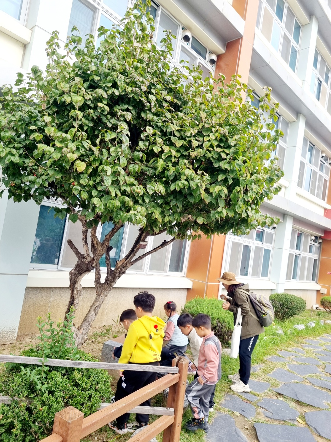 석전초등학교병설유치원, 숲체험 활동 - 관련이미지2
