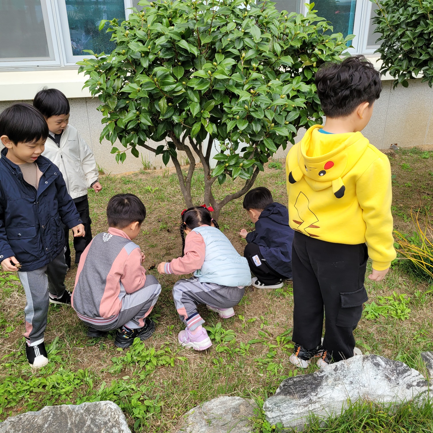 석전초등학교병설유치원, 숲체험 활동 - 관련이미지3