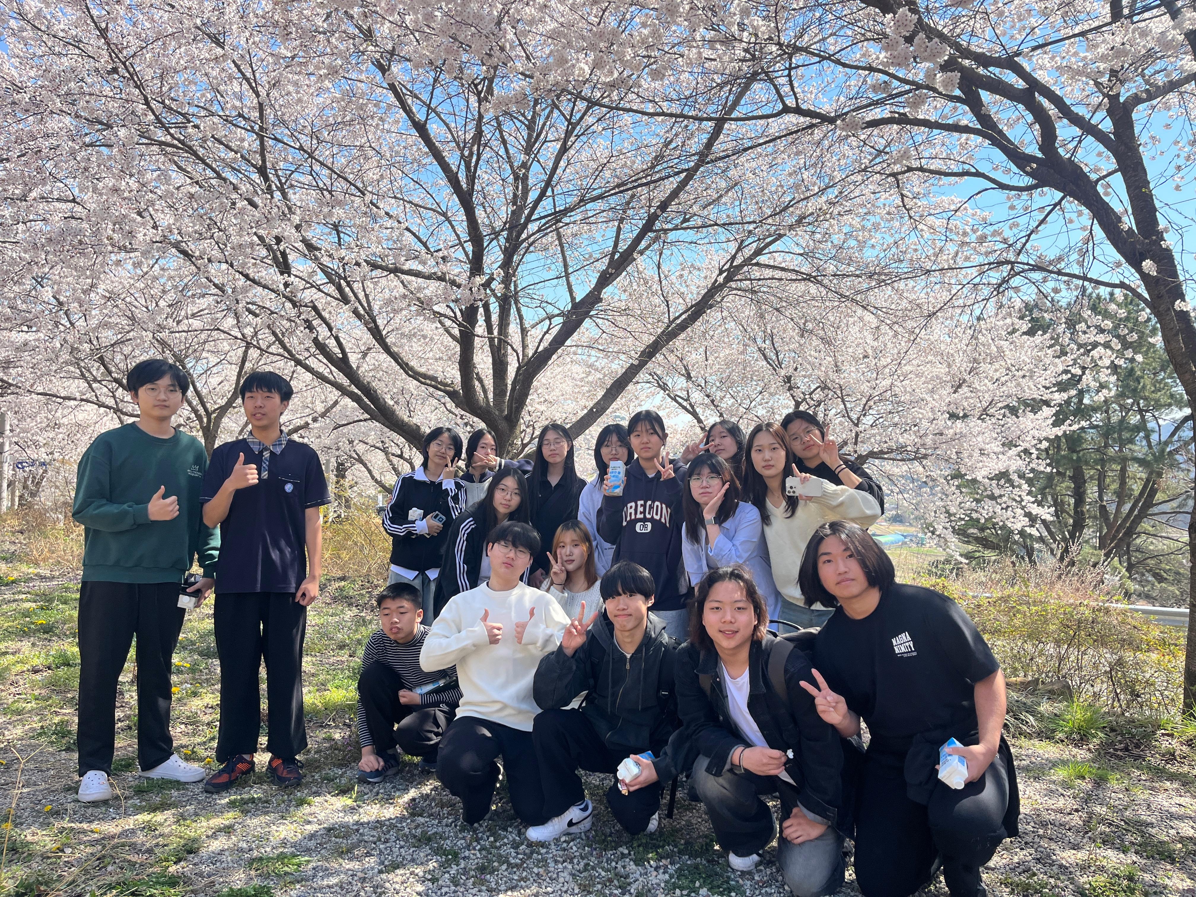 한다사중, 황토재에서 분홍빛 가득 봄을 만끽하다! - 관련이미지3