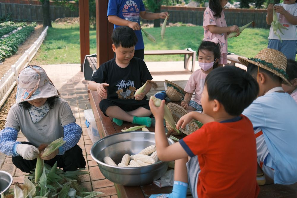 2025. 창녕유치원 텃밭 활동을 통해 나눔과 배려 실천 - 관련이미지2